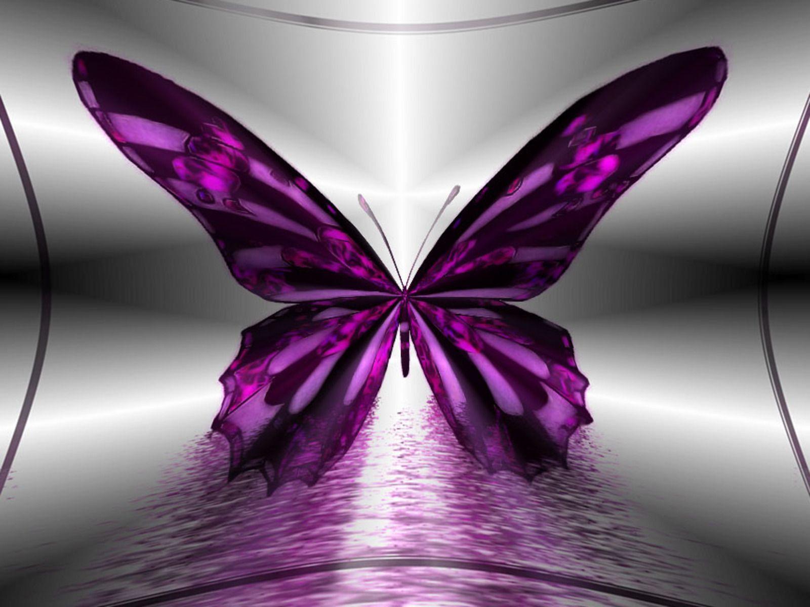 Black and Purple Butterfly Wallpapers Top Free Black and Purple