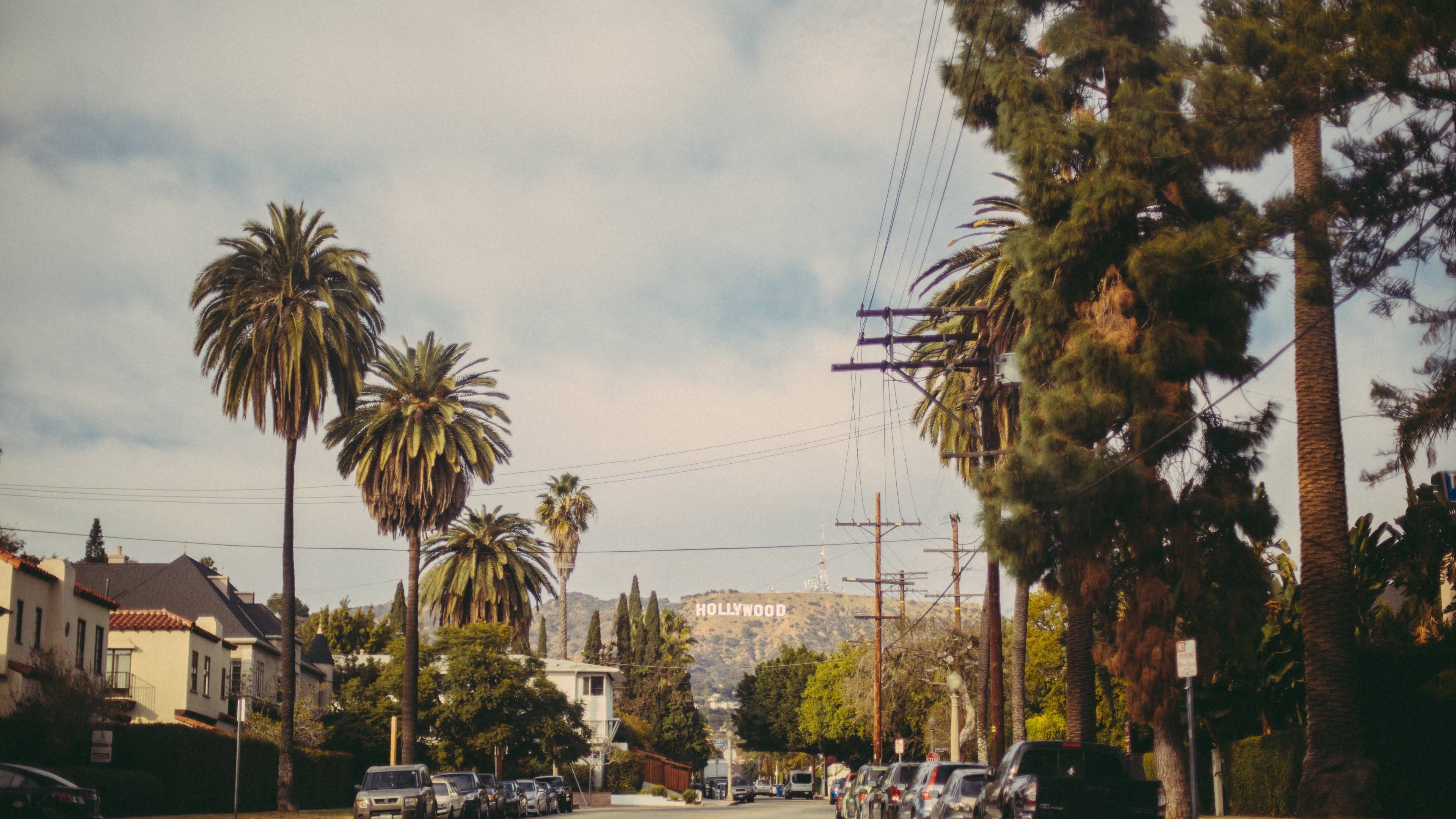 3840x2160 hollywood, road, trees 4K Wallpaper, HD Nature 4K Wallpaper, Image, Photo and Background