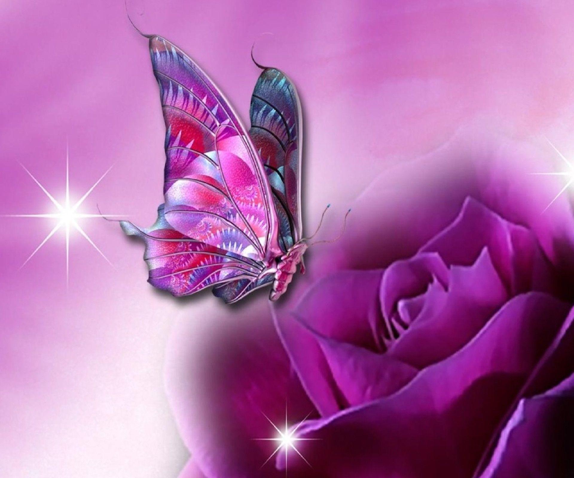 Black and Purple Butterfly Wallpapers Top Free Black and Purple Butterfly Backgrounds