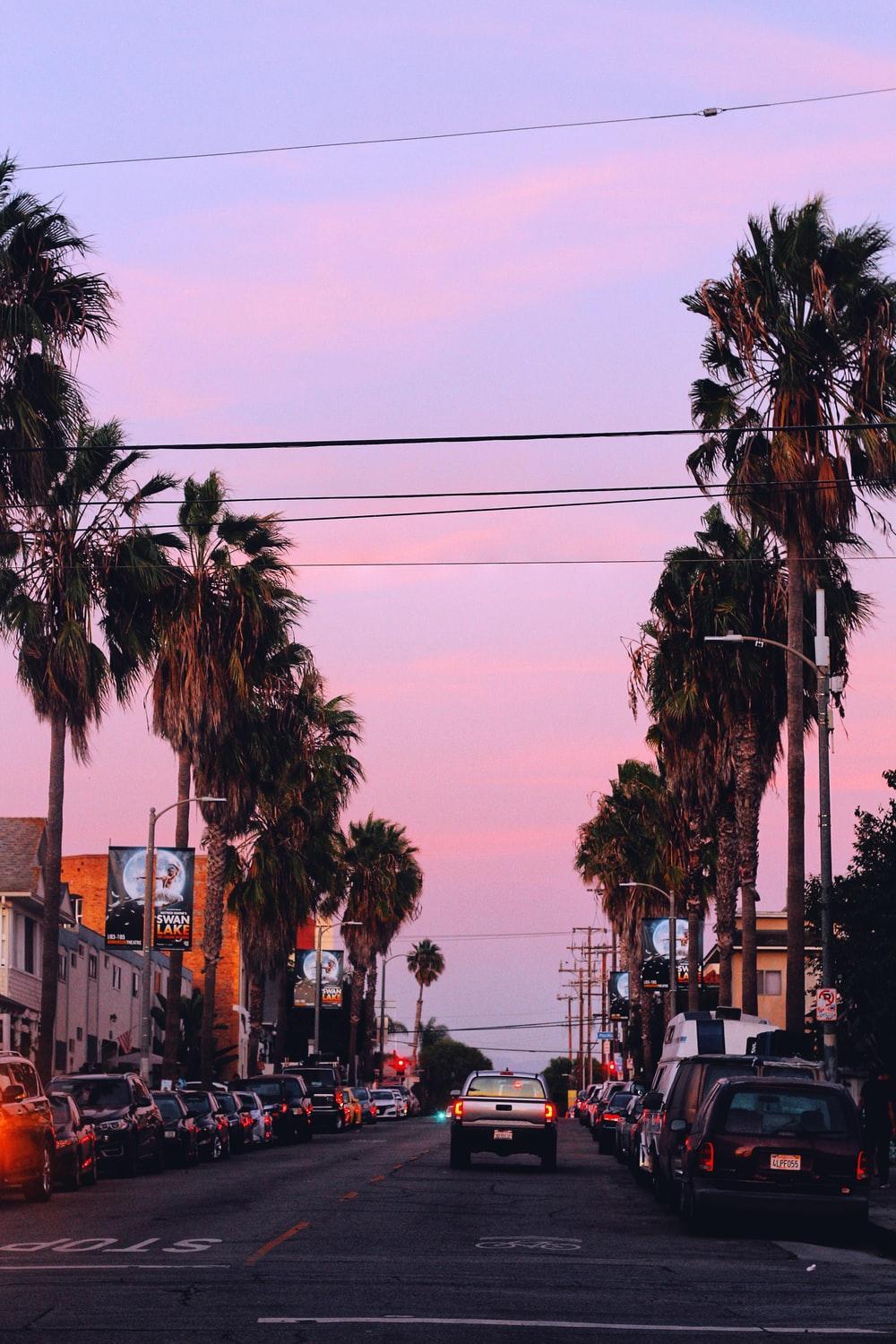 1000x1500 La Street Picture. Download Free Image