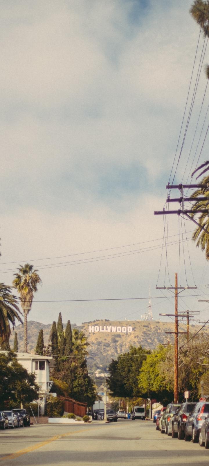 720x1600 hollywood, road, trees 720x1600 Resolution Wallpaper, HD Nature 4K Wallpaper, Image, Photo and Background