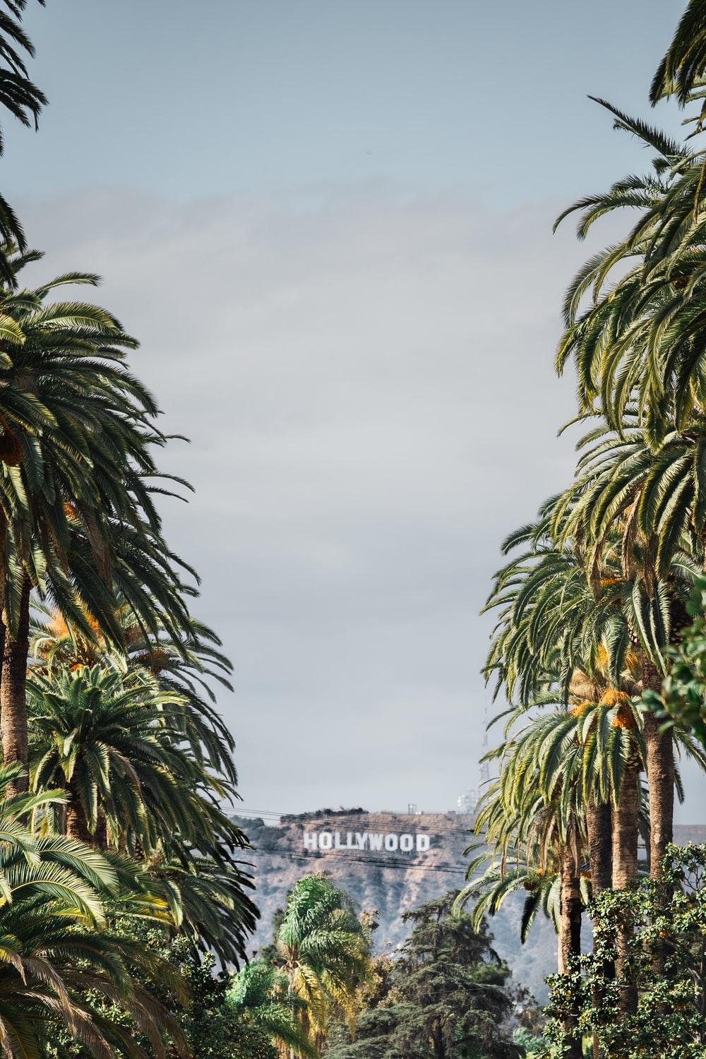 1000x1500 Hollywood Sign Picture [HQ]. Download Free Image