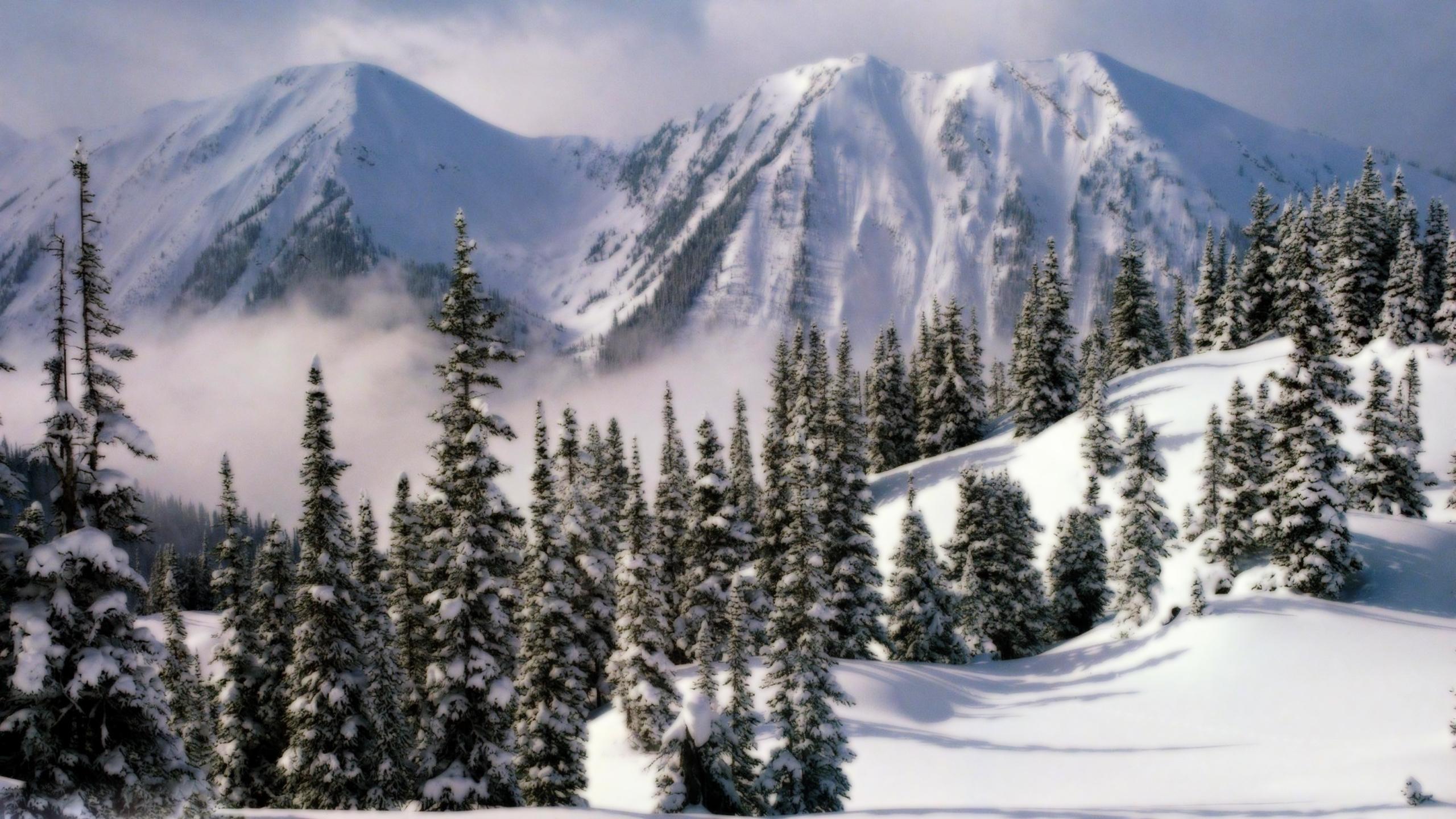 2560x1440 Landscape Of British Columbia In Winter