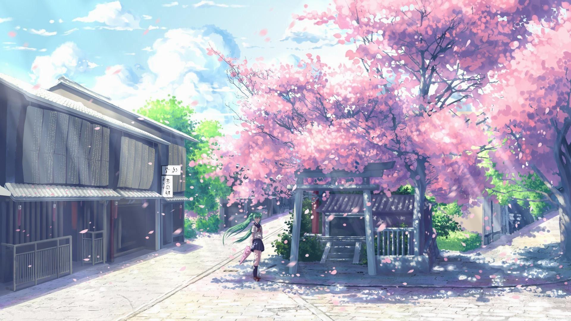 1920x1080 Cherry Anime Blossom Wallpaper
