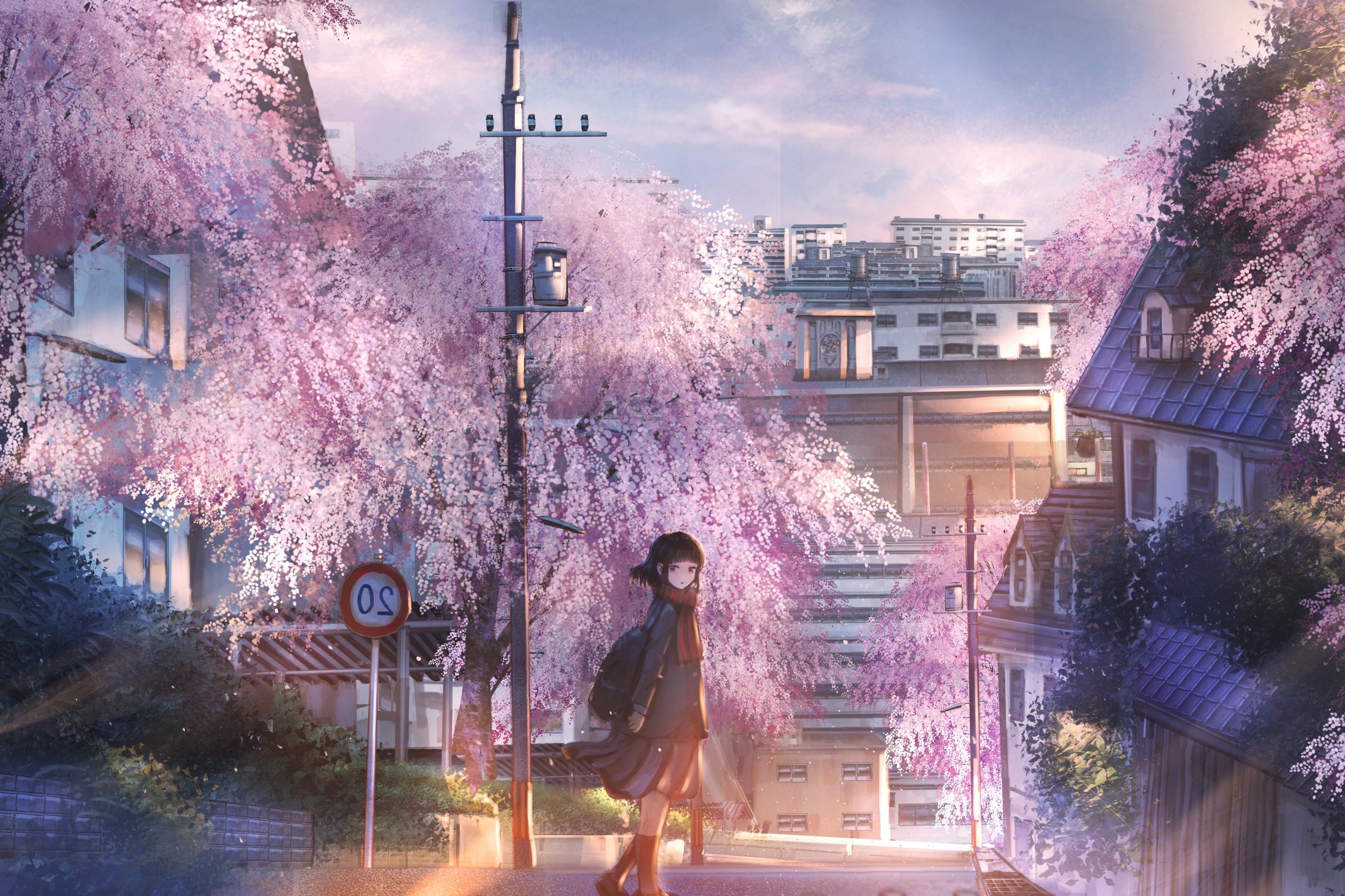 3000x2000 Wallpaper Anime School Girl, Anime Landscape, Sakura Blossom, Buildings:3000x2000