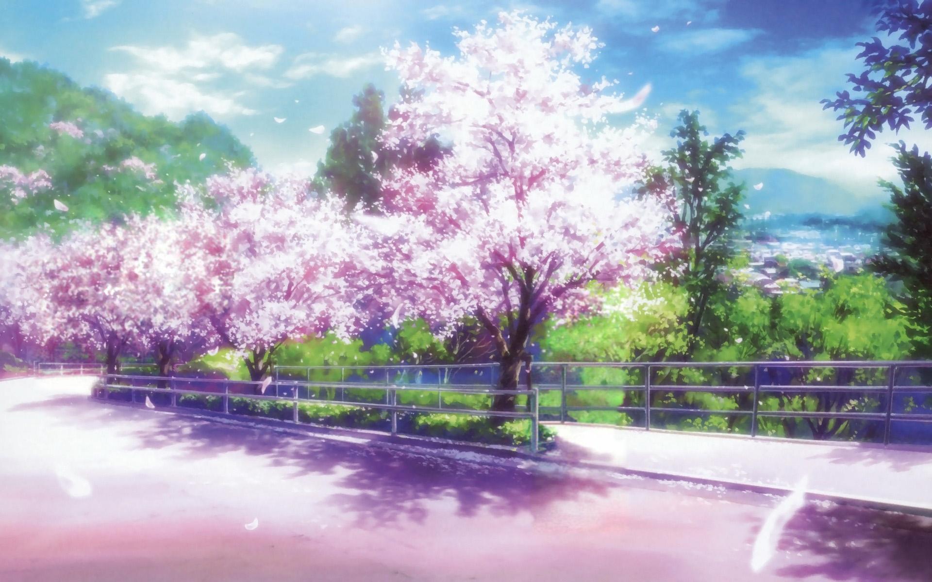 1920x1200 cherry blossoms