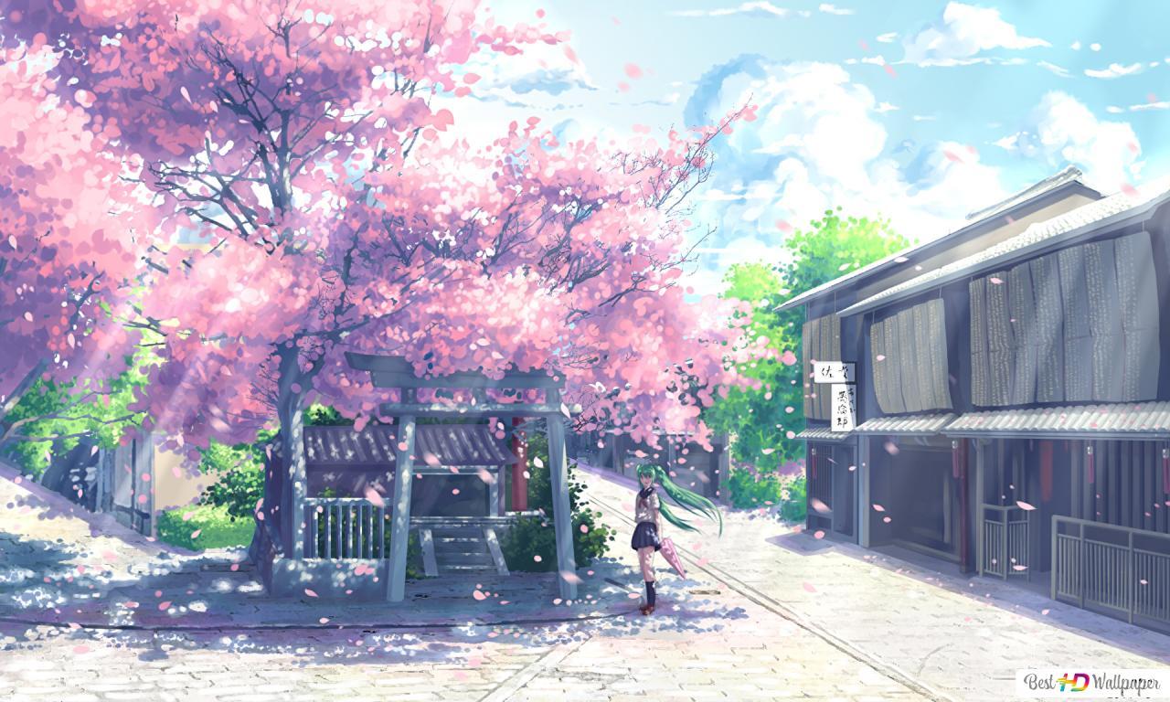 1280x768 Hatsune Miku under the sakura blossom tree HD wallpaper download