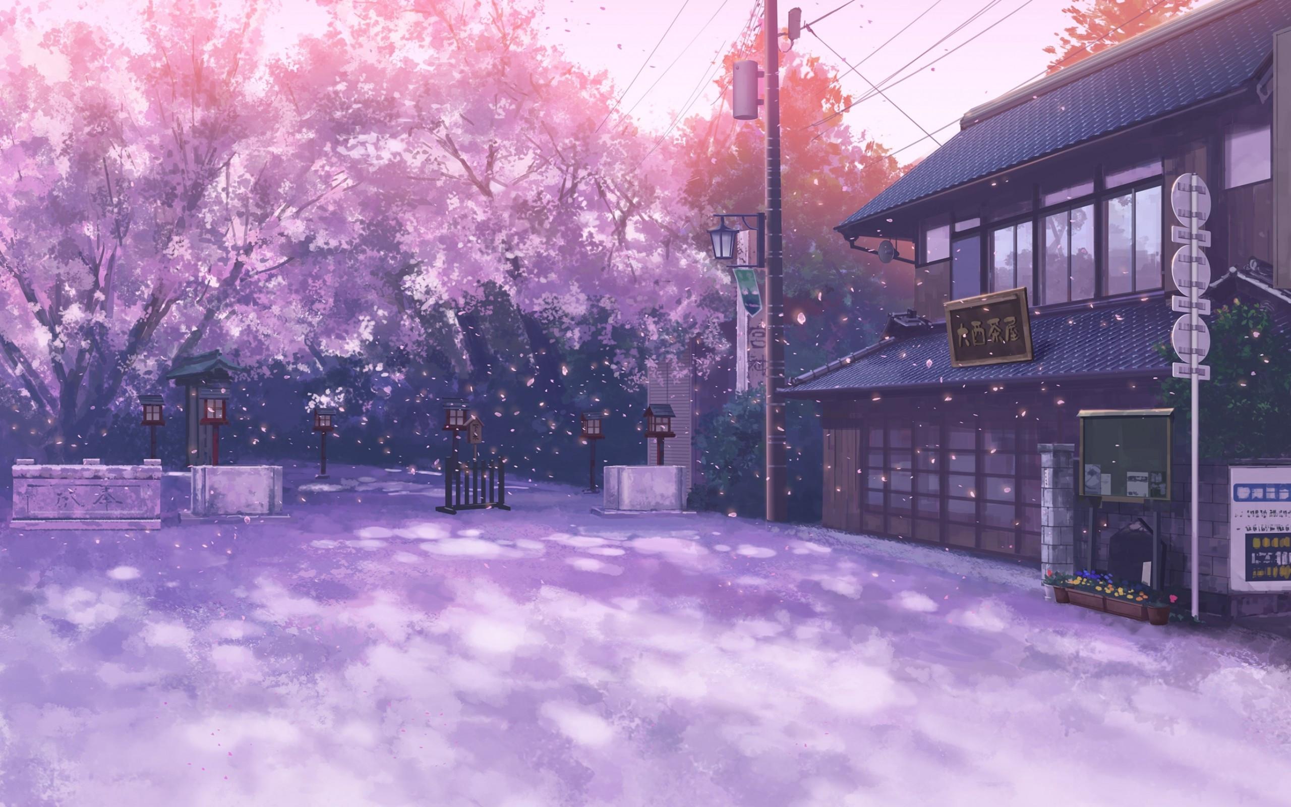 2560x1600 Download 2560x1600 Anime Landscape, Sakura Blossom, Building, Street, Petals Wallpaper for MacBook Pro 13 inch