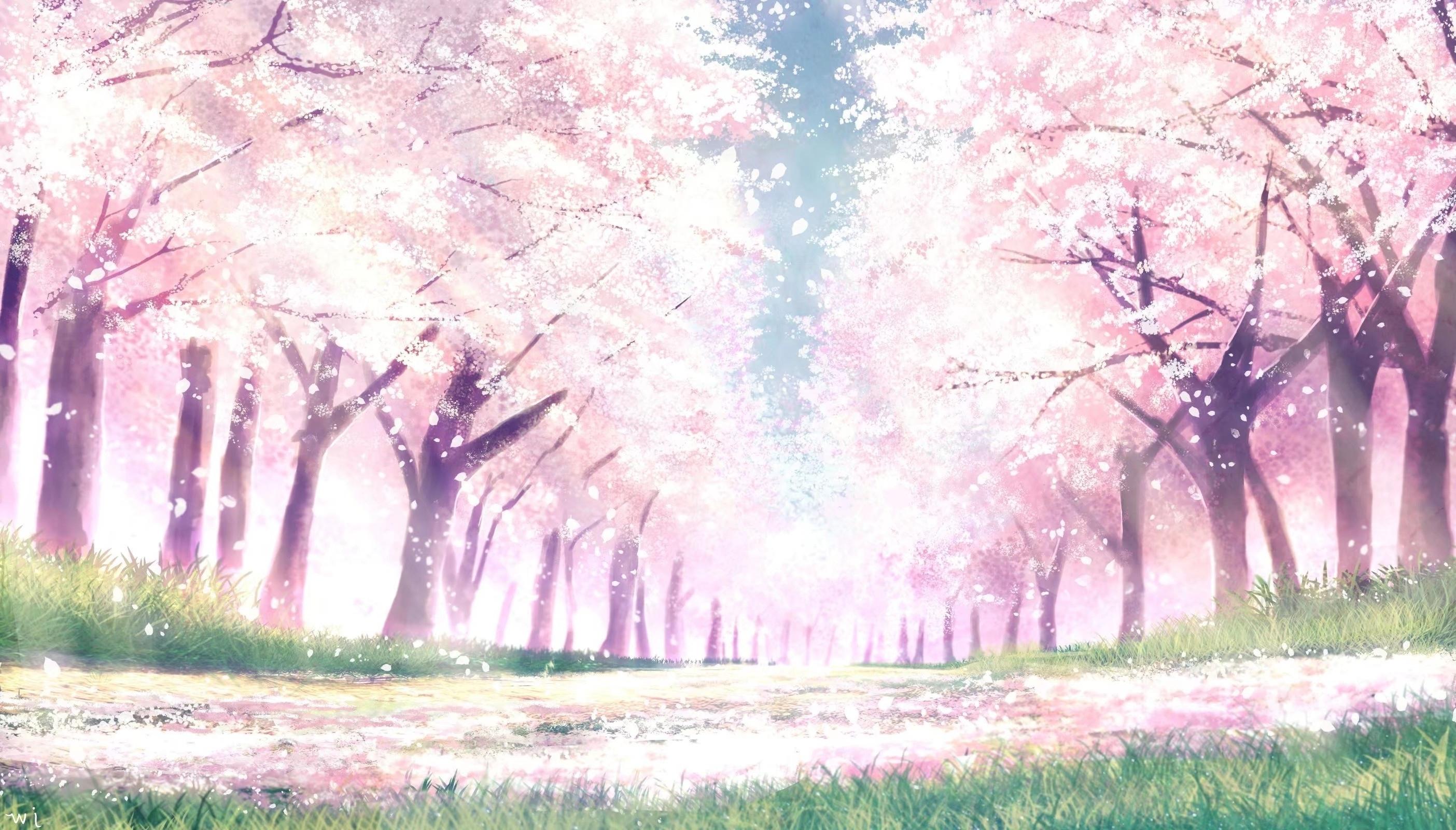 2808x1600 Wallpaper Cherry Blossom, Anime Landscape, Sakura Bloom, Path, Spring, Trees:2808x1600