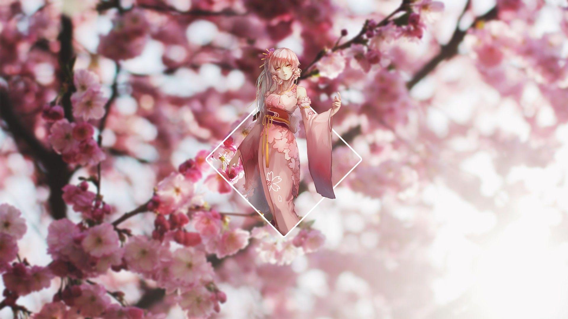 1920x1080 Anime Cherry Blossom Wallpaper