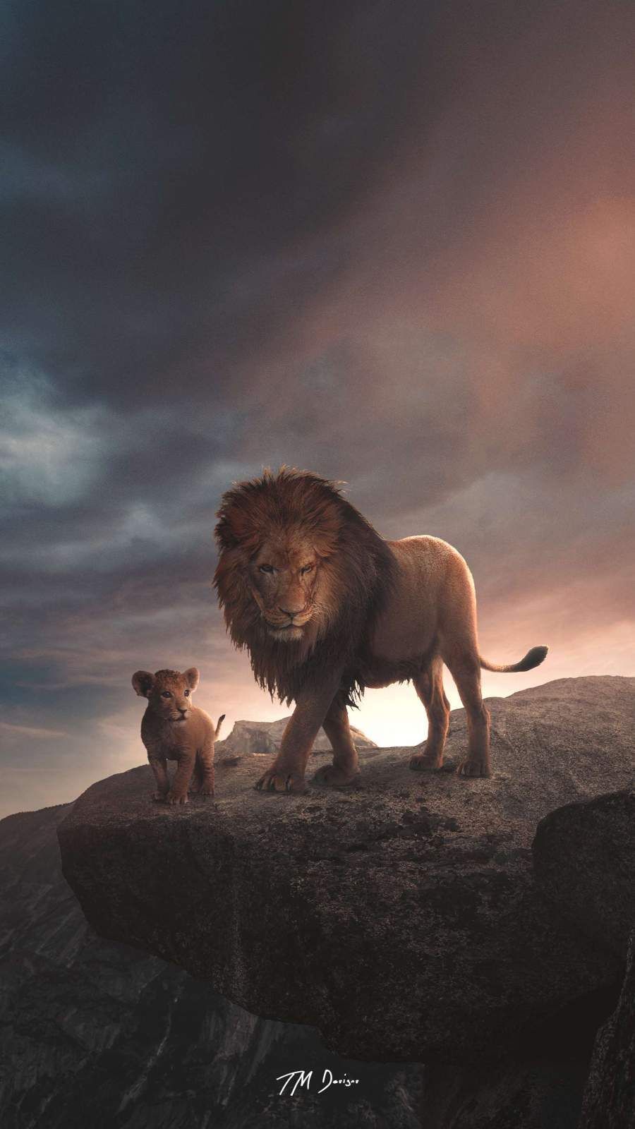 900x1600 Animals iPhone Wallpaper, HD Animals iPhone Background on WallpaperBat