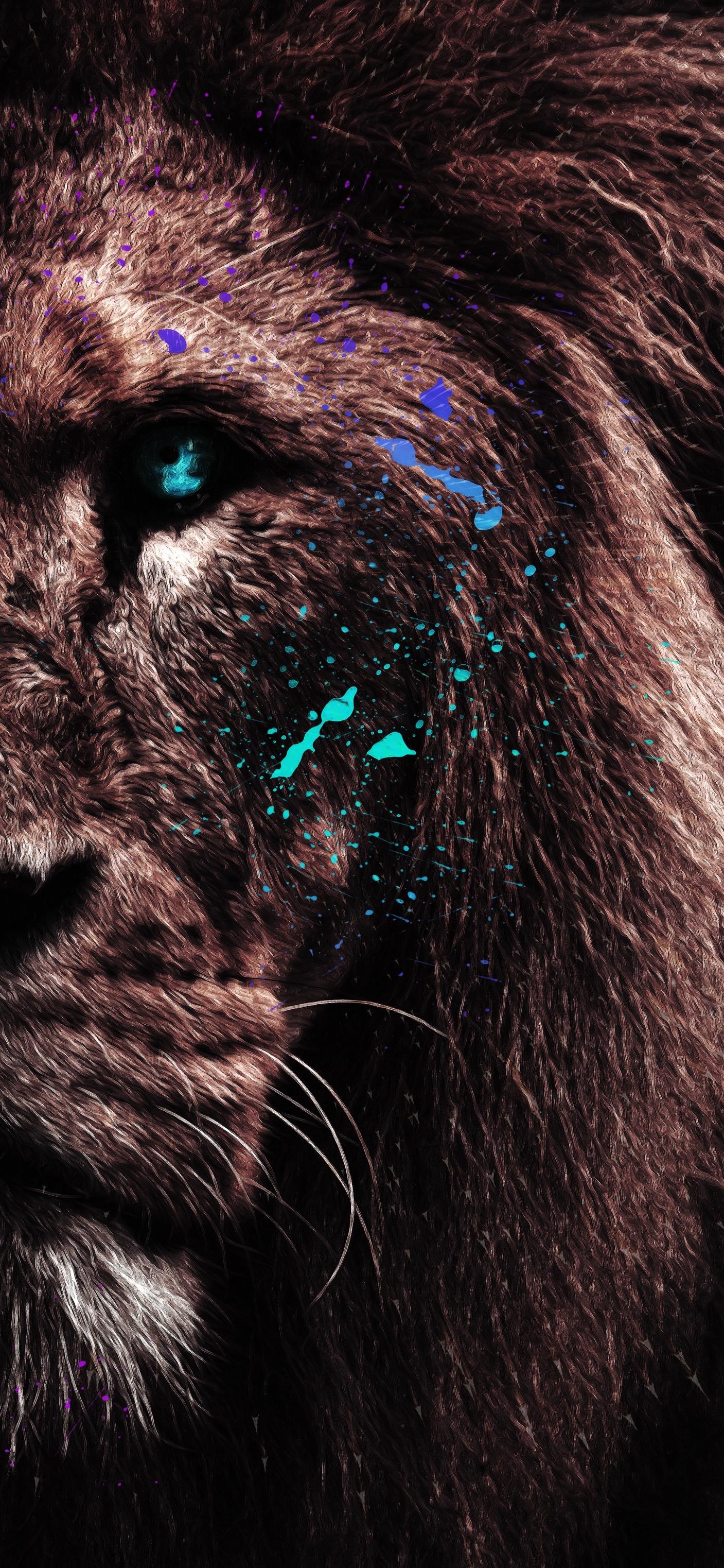 1407x3045 Animals Mobile Wallpaper, Image and Picture Free Background