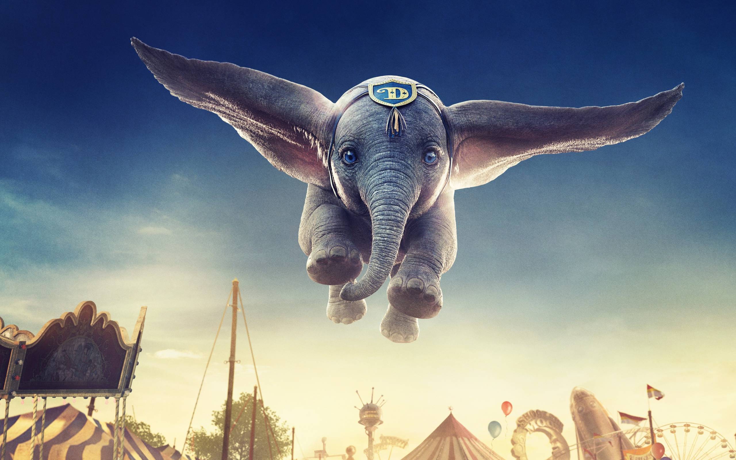 2560x1600 Gray little baby elephant Dumbo in the air Desktop wallpaper 2560x1600