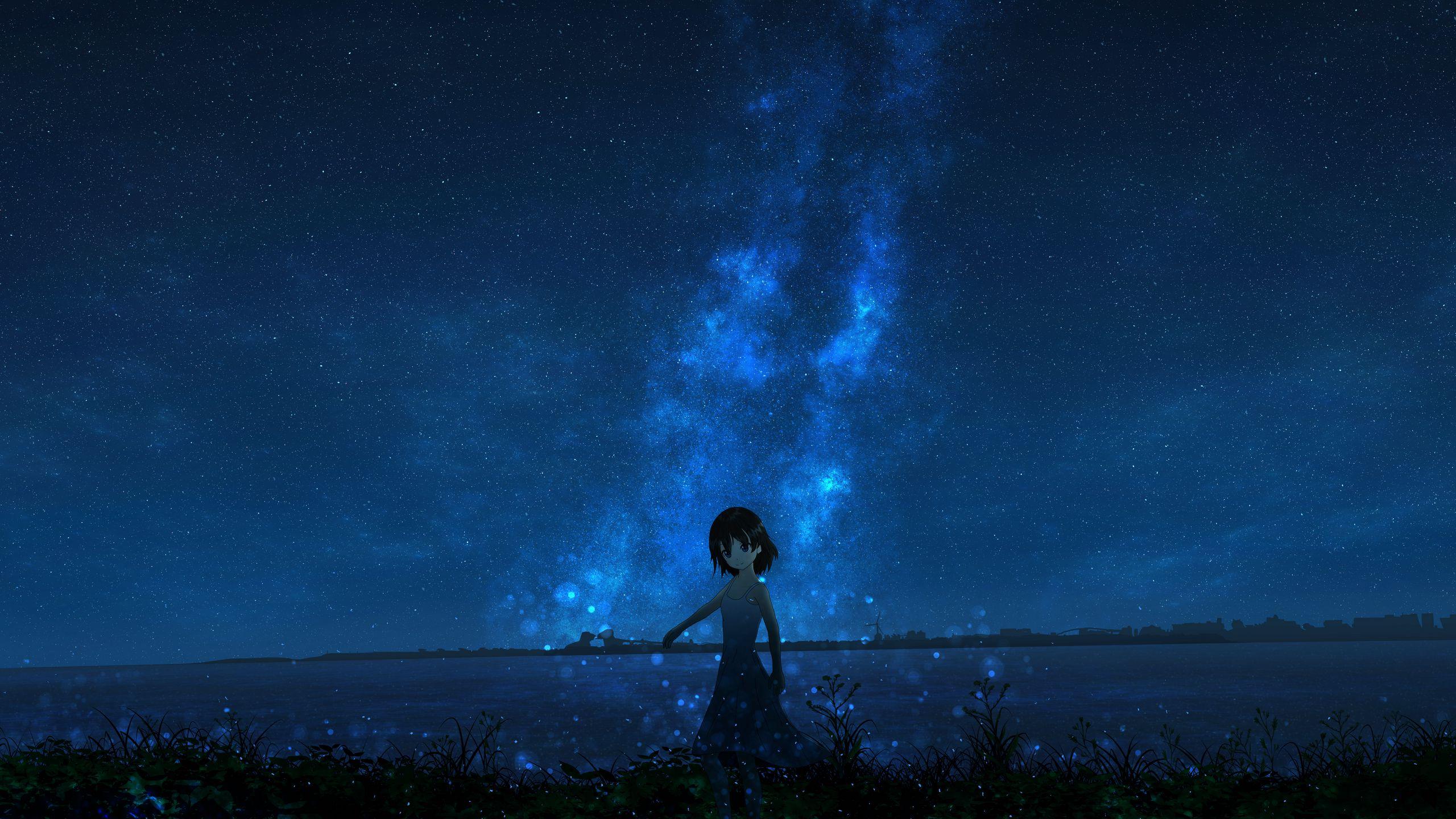 2560x1440 Download wallpaper 2560x1440 girl, night, starry sky, anime widescreen 16:9 HD background