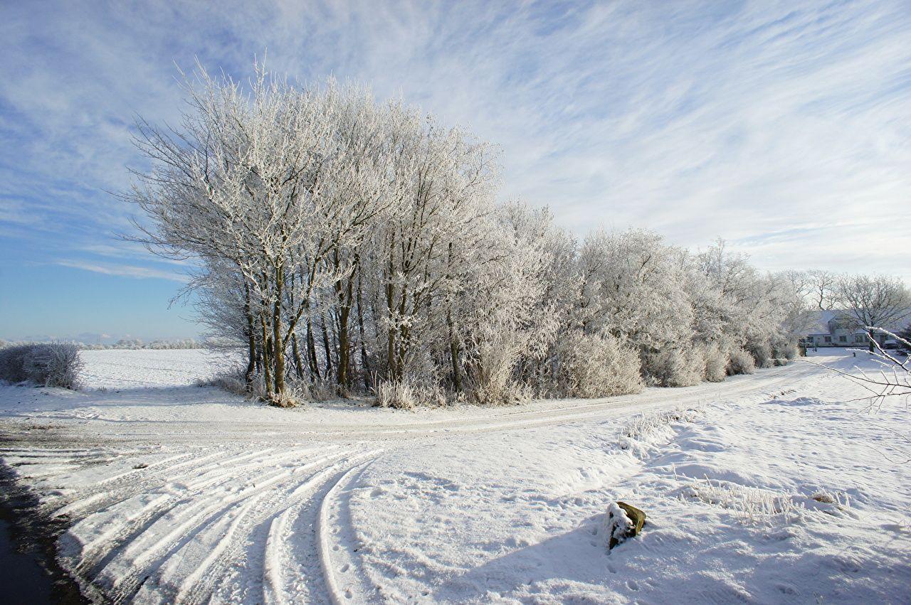 1280x851 Denmark Winter Wallpaper