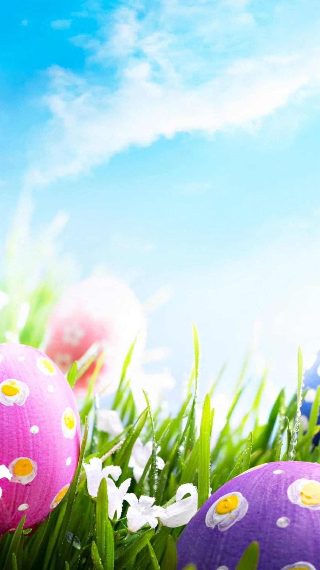 iPhone Easter Wallpapers Top Free iPhone Easter Backgrounds