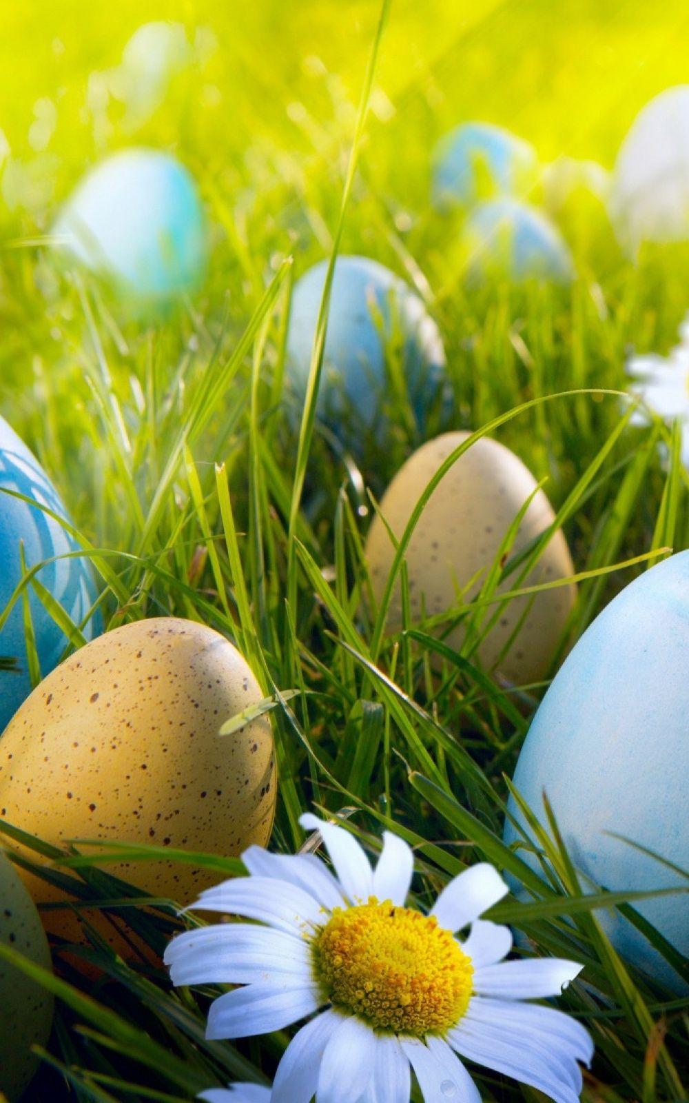 1000x1600 Easter Egg Hunt Mobile Wallpaper. Easter wallpaper, iPhone wallpaper easter, Happy easter wallpaper