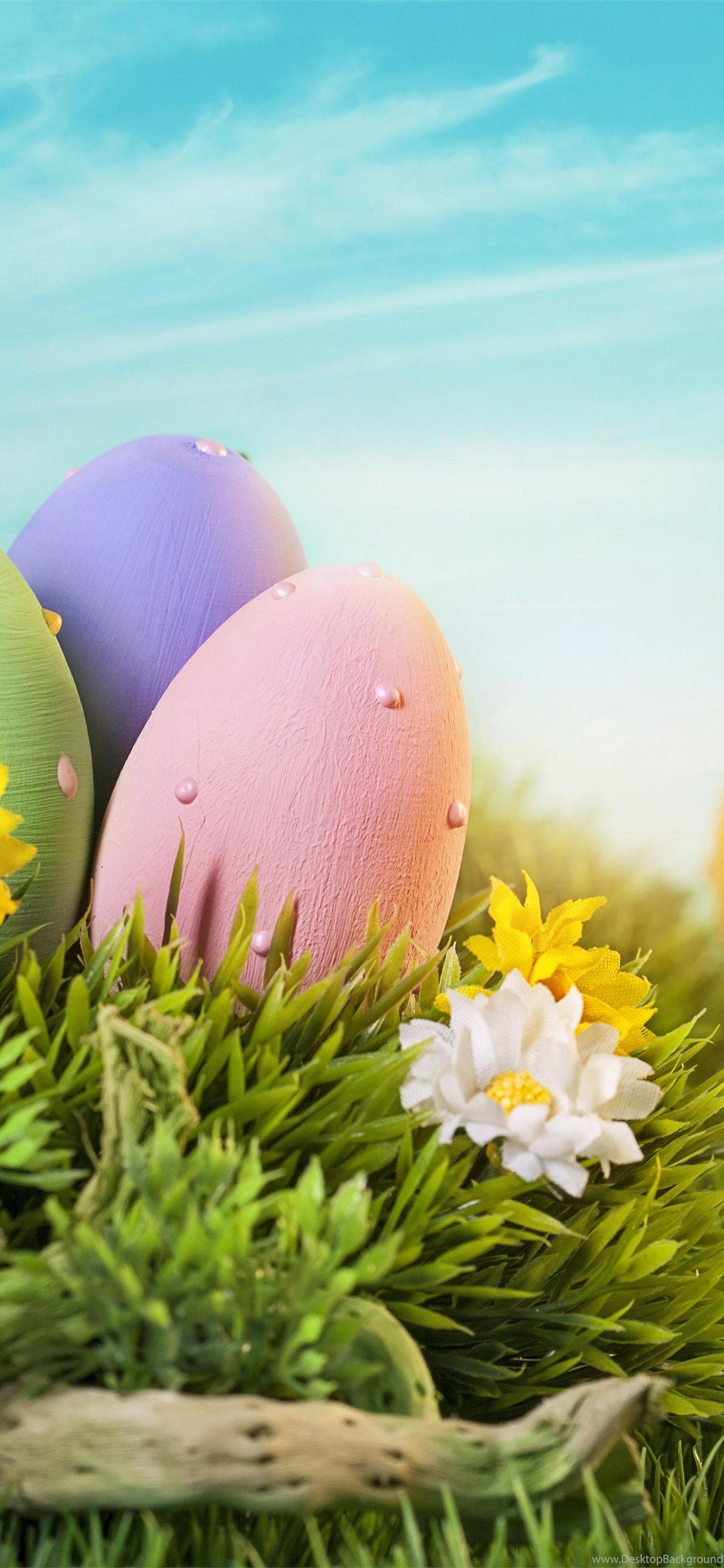 1284x2778 HAPPY EASTER Desktop Background iPhone Wallpaper Free Download