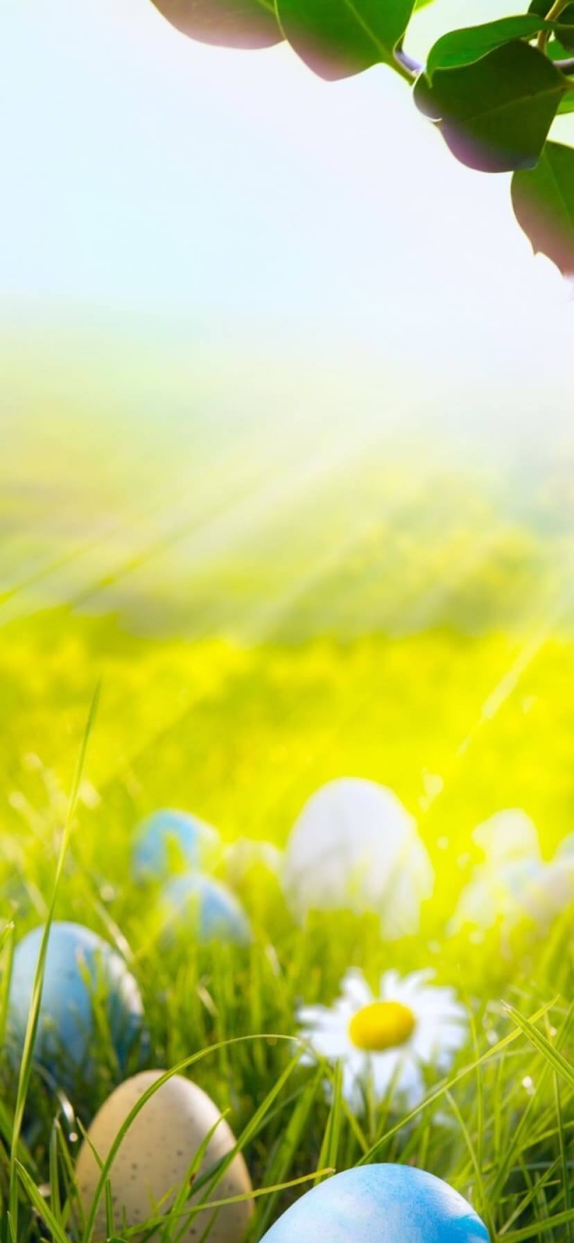 iPhone Easter Wallpapers - Top Free iPhone Easter Backgrounds ...