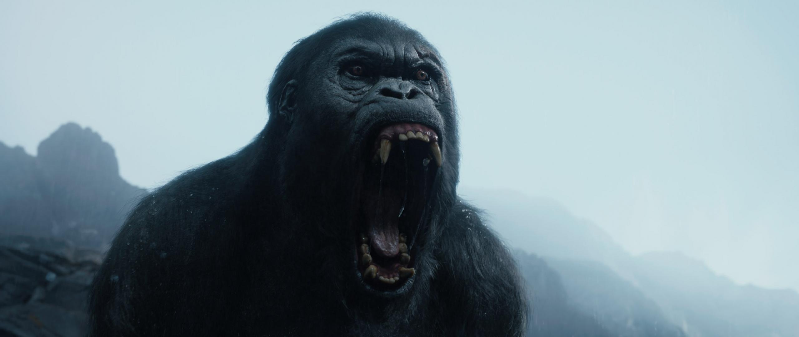 2560x1080 Best The Legend Of Tarzan Wallpaper Id Of Tarzan Akut