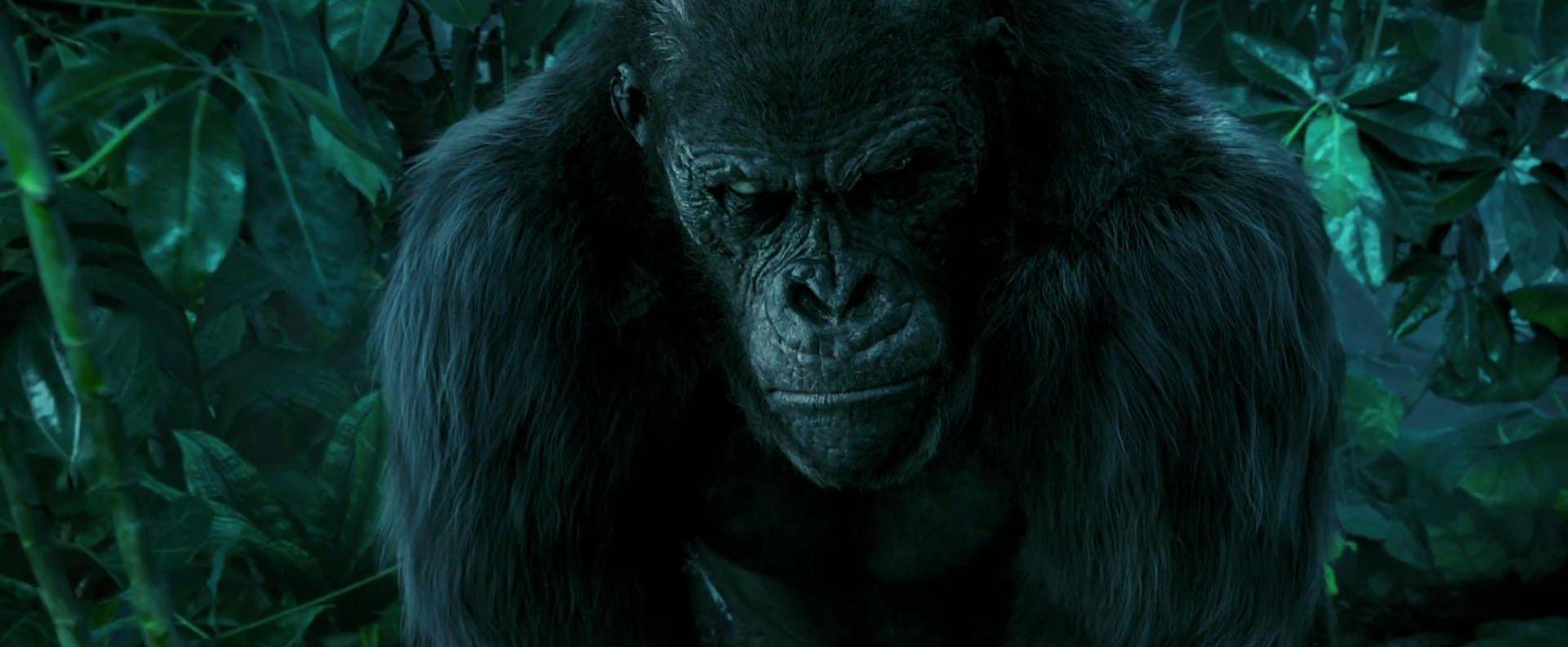 1920x792 The Legend of Tarzan - #LegendOfTarzan HD wallpaper, these and more #SeeItAgain #BigScreen