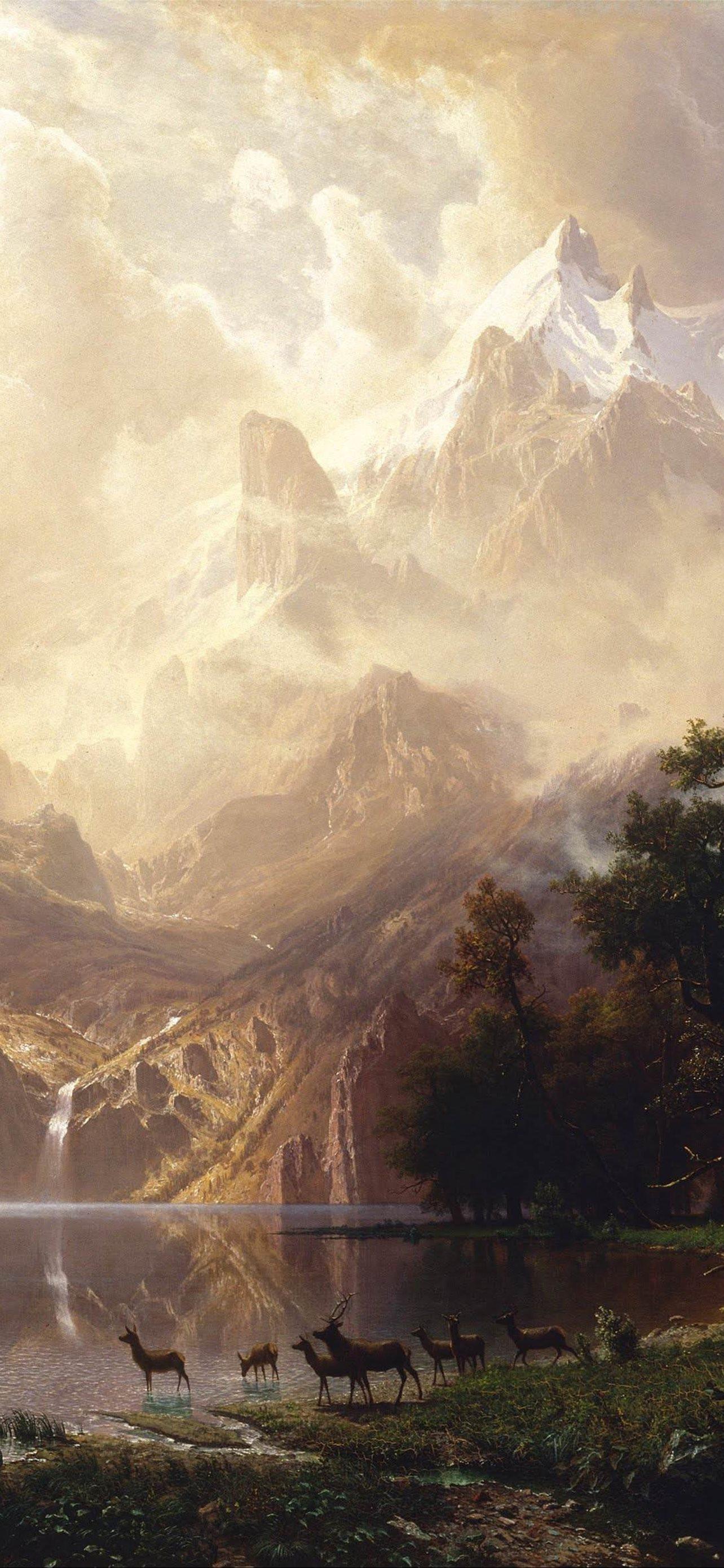 1284x2778 Best Nevada iPhone HD Wallpaper