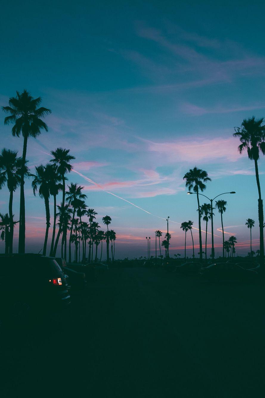 889x1334 Relax. #palmtrees #sunset. Gallivanting. Wallpaper, Sky, Landscape