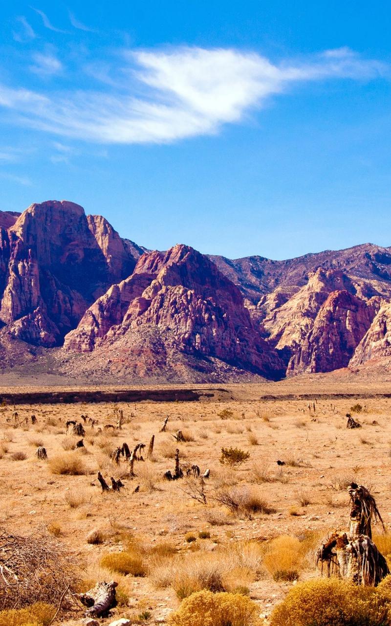 800x1280 Free download Nevada desert rocks mountains red rock canyon wallpaper [2560x1600] for your Desktop, Mobile & Tablet. Explore Nevada Wallpaper. Nevada Wallpaper, Nevada Wolf Pack Wallpaper