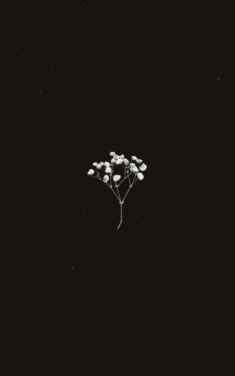 800x1280 Free download flower wallpaper Cute simple wallpaper Minimalist wallpaper [900x1600] for your Desktop, Mobile & Tablet. Explore Aesthetic Flowers Simple Wallpaper. Simple Aesthetic Wallpaper, Aesthetic Simple Laptop Wallpaper, HD