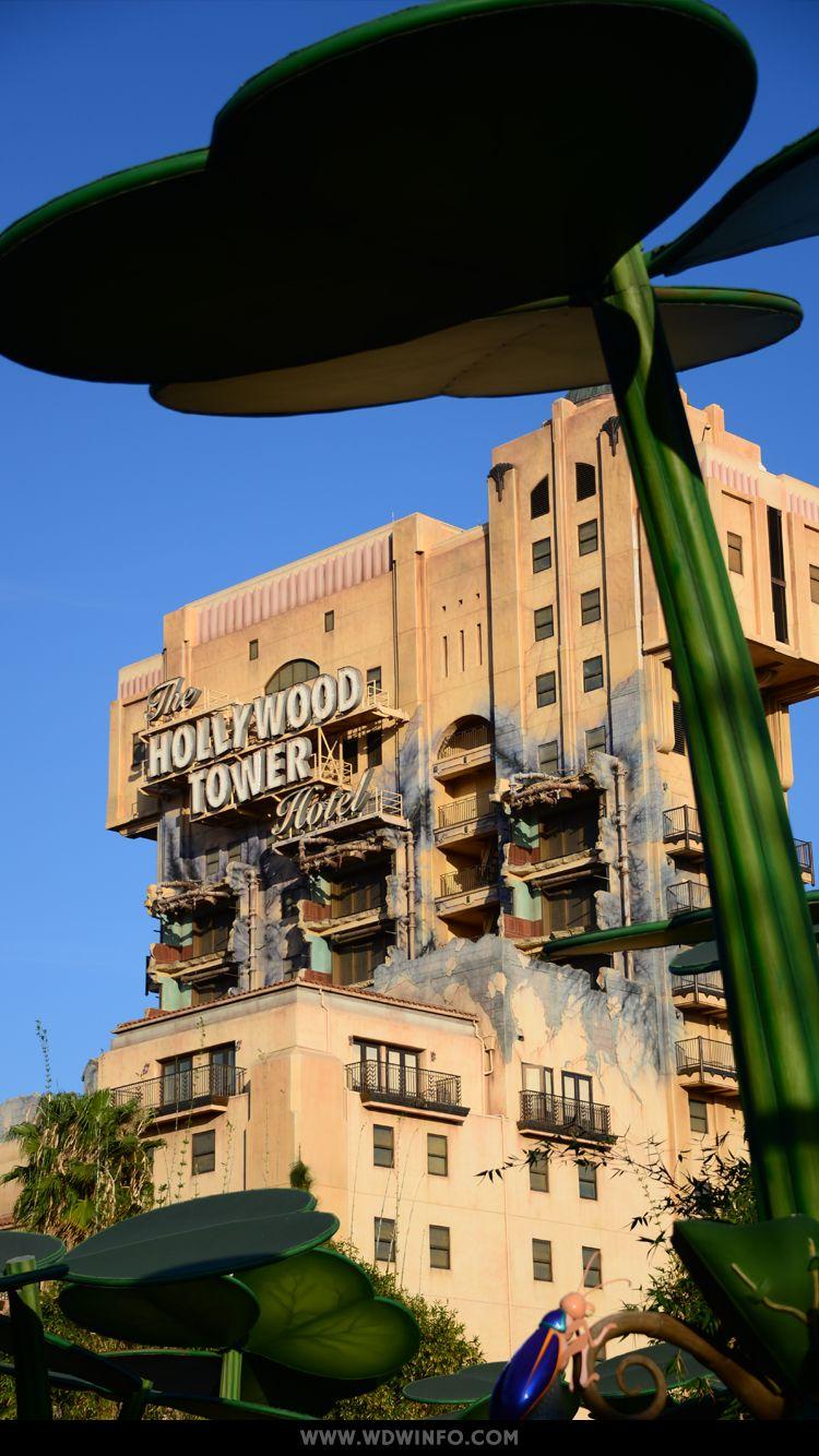 750x1334 Walt Disney World Wallpaper