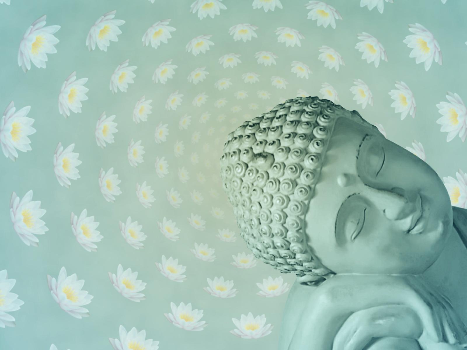 1600x1200 Buddhism Lotus Quotes. QuotesGram