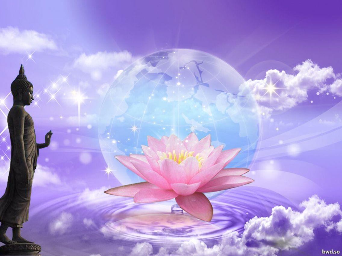 1136x852 Buddha lotus. Buddha lotus, Lotus wallpaper, Wallpaper
