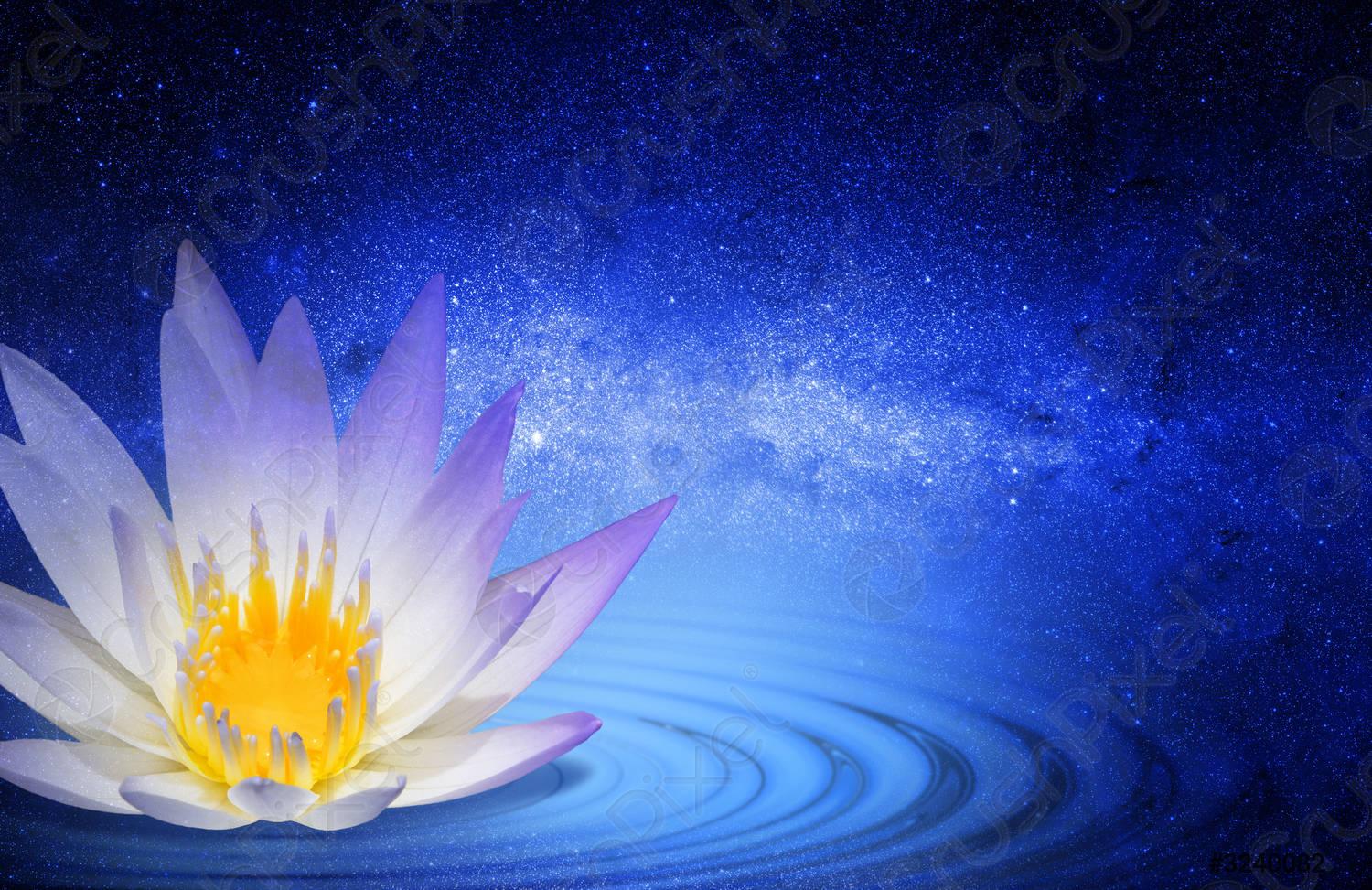 1500x973 Buddhist lotus flower