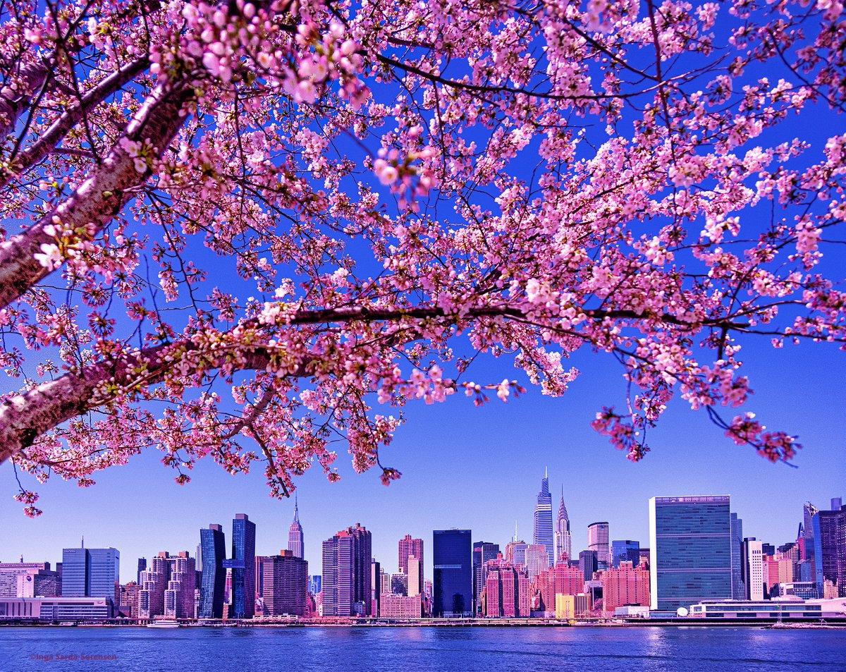 NYC Spring Wallpapers - Top Free NYC Spring Backgrounds - WallpaperAccess