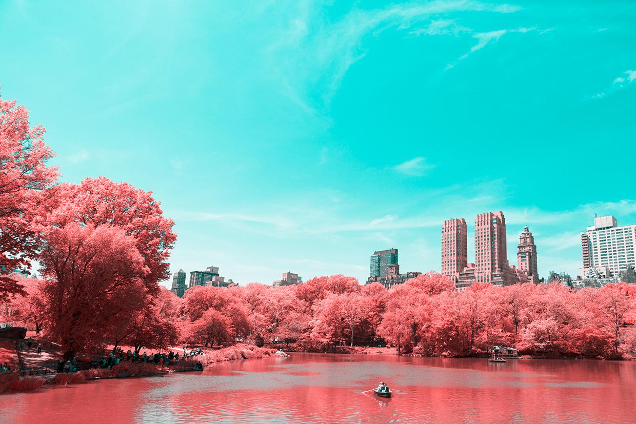 1240x827 New York City goes pink: Infrared NYC
