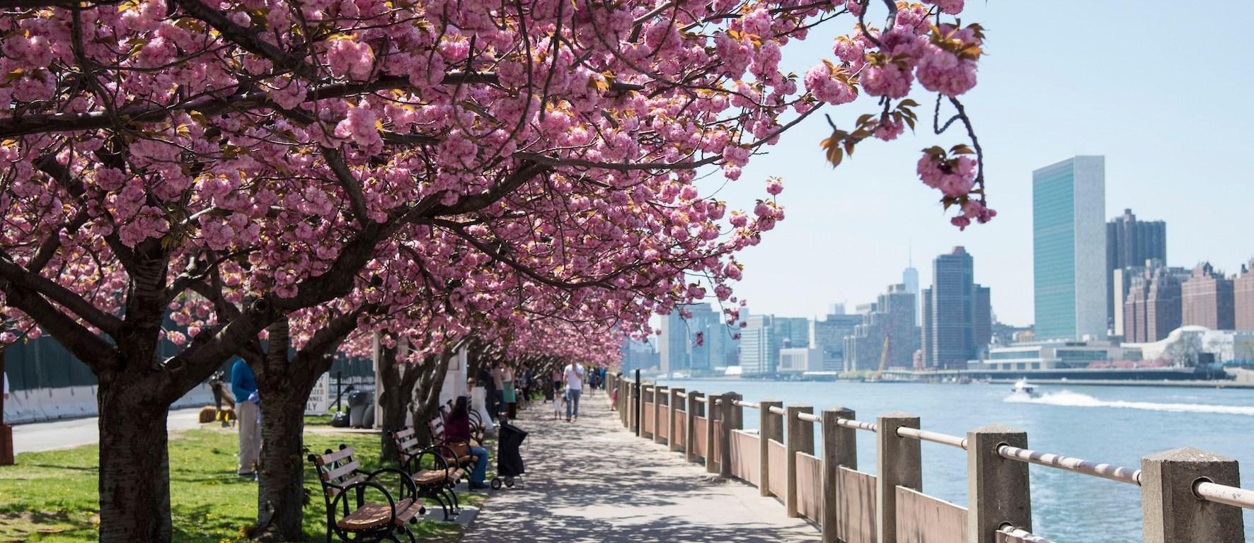 Nyc Spring Wallpapers Top Free Nyc Spring Backgrounds Wallpaperaccess 3864