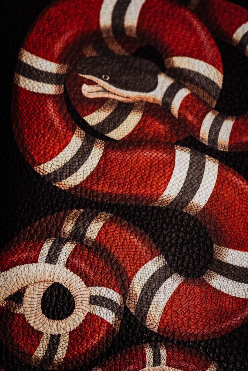 854x1280 Gucci Snake Wallpaper iPhone 6 Best Of Gucci Snake iPhone Cover