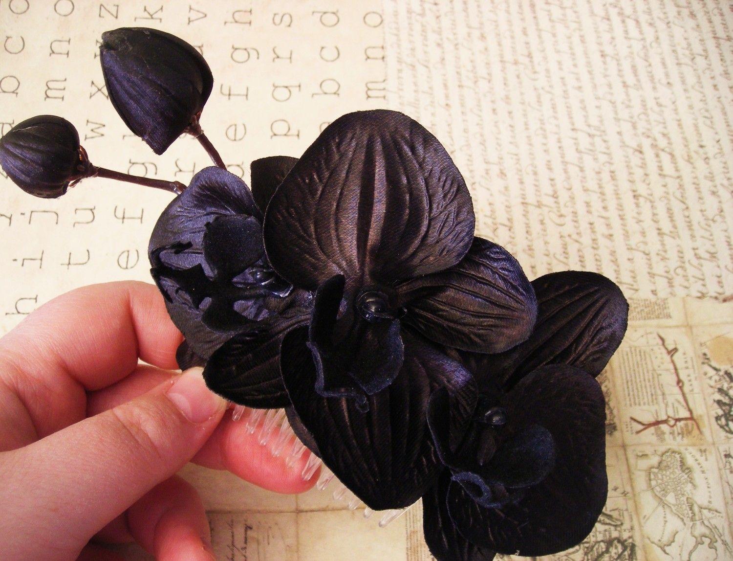1500x1147 Black Orchid Wallpaper