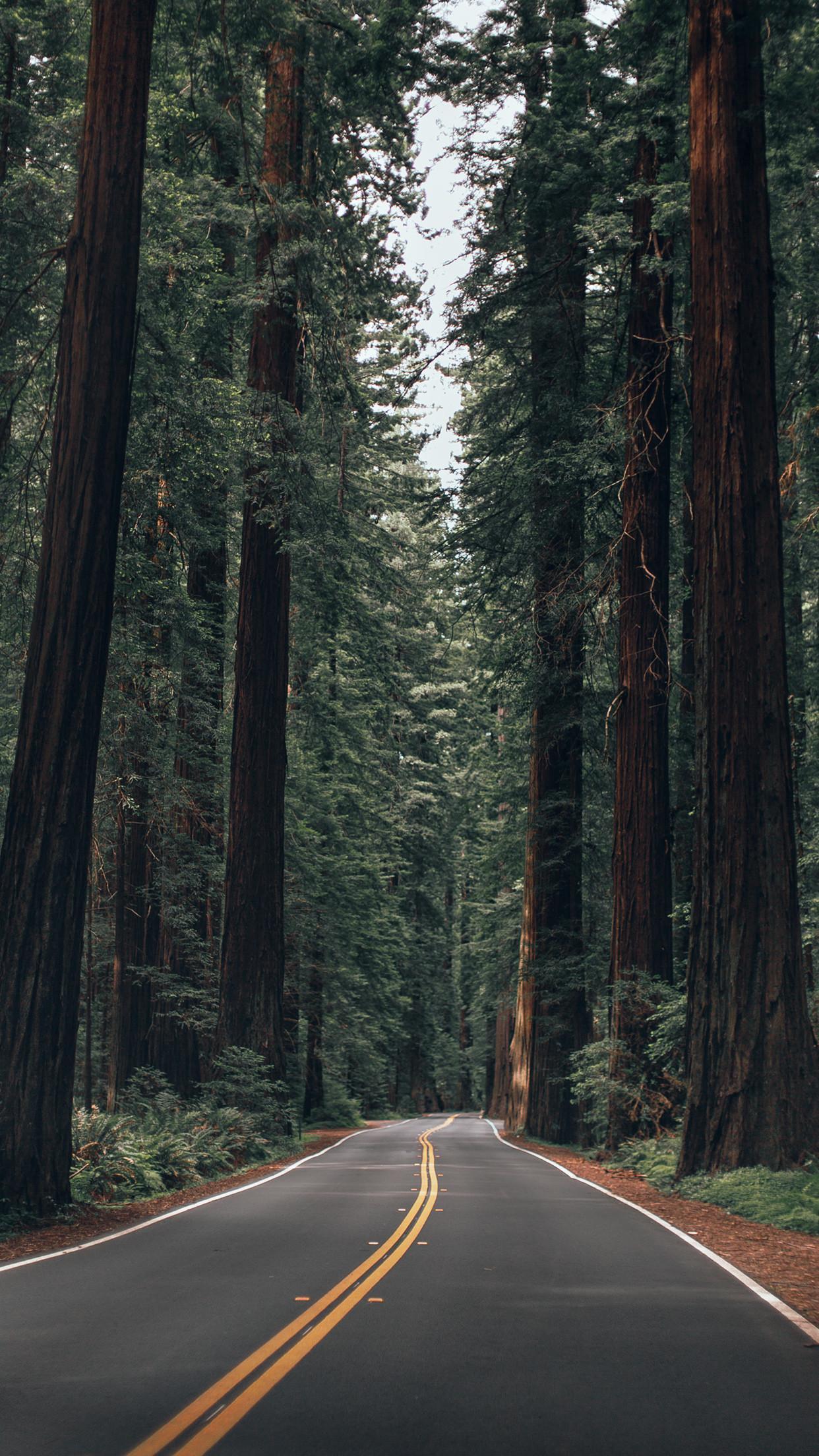 1242x2208 California iPhone Wallpaper. (39++ Wallpaper)