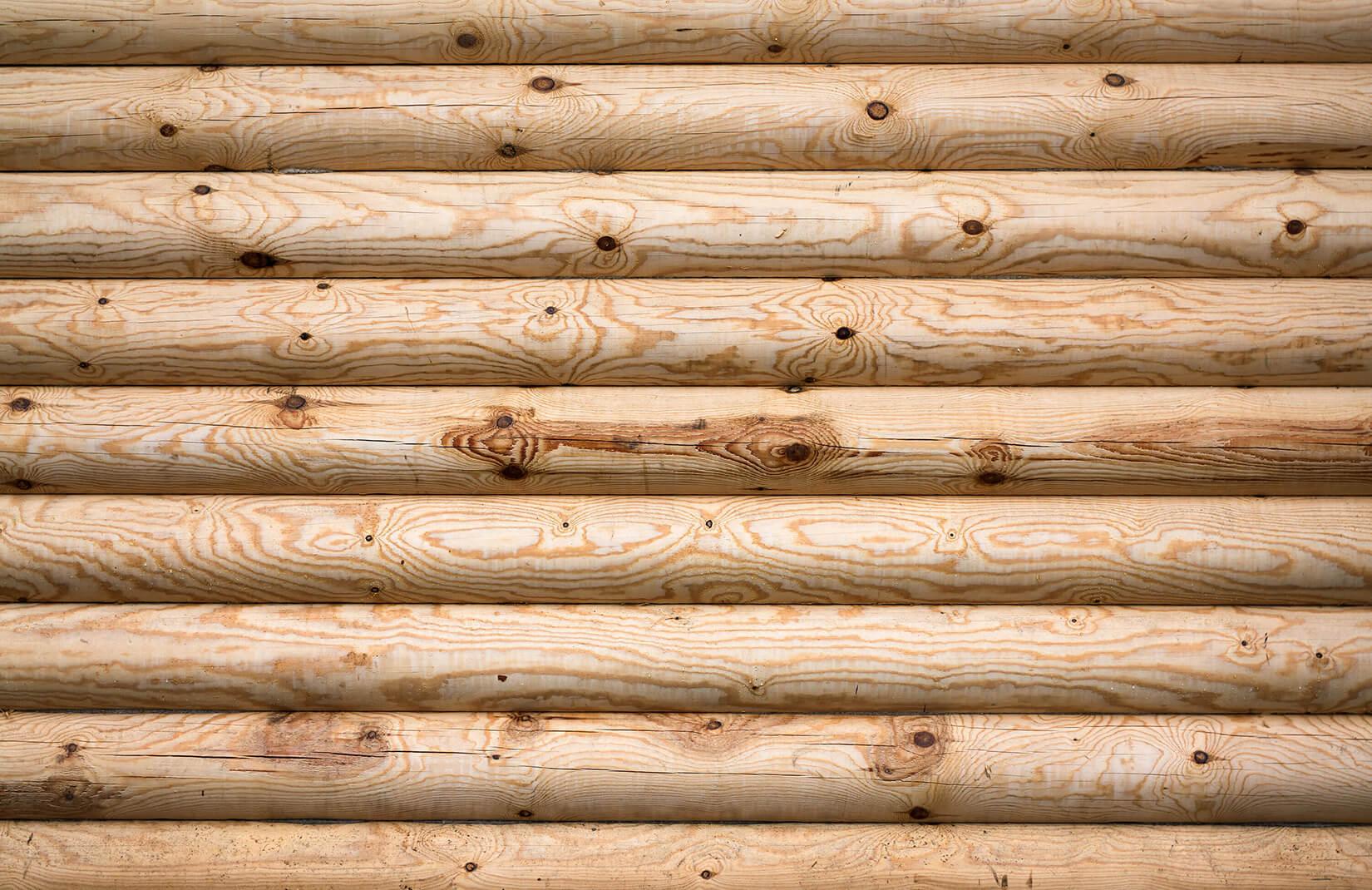 1650x1070 Pine Wood Cabin Wallpaper Mural