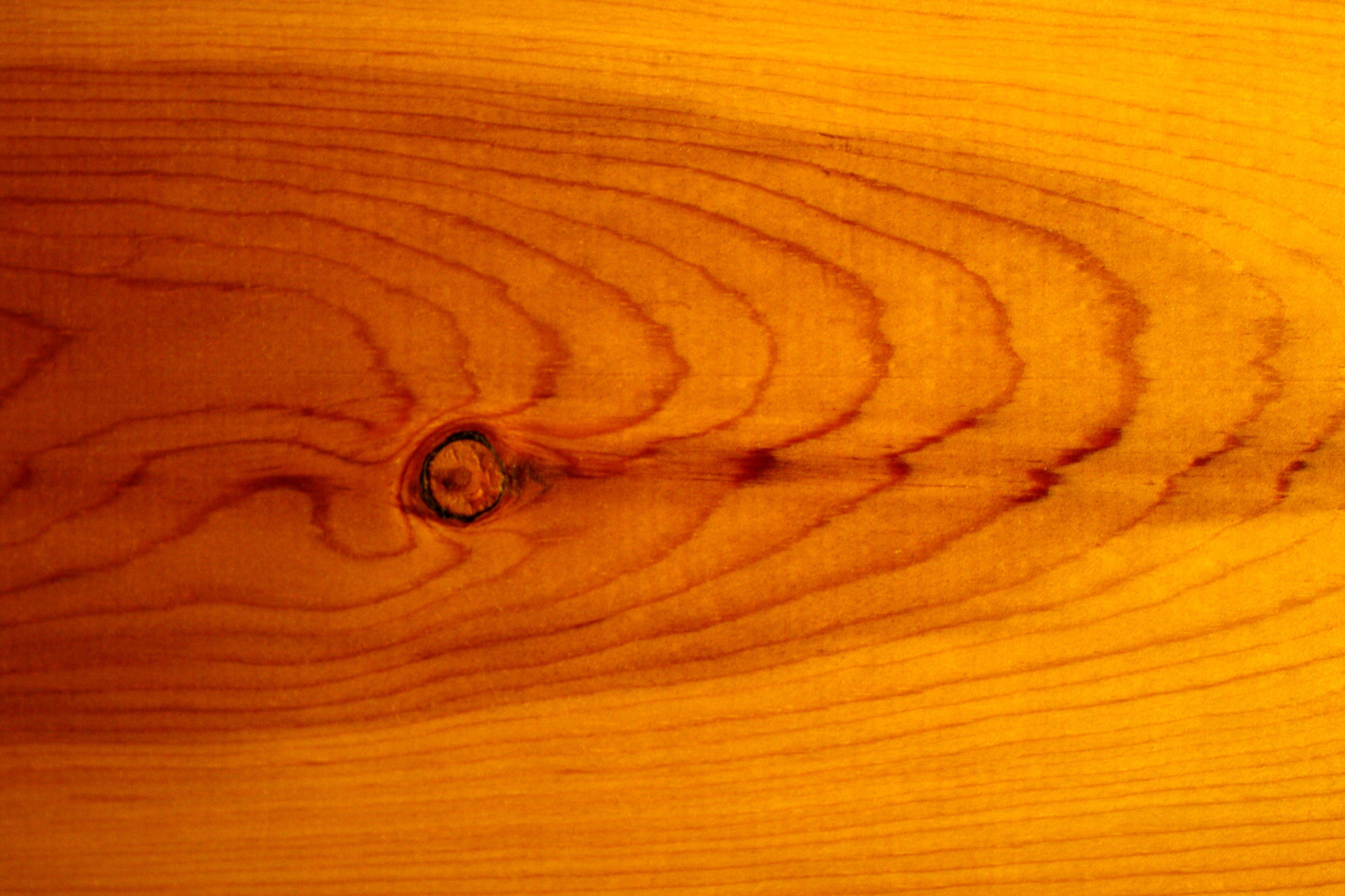 3888x2592 Knotty Pine Wood Grain Texture Picture. Free Photograph. Photo Public Domain