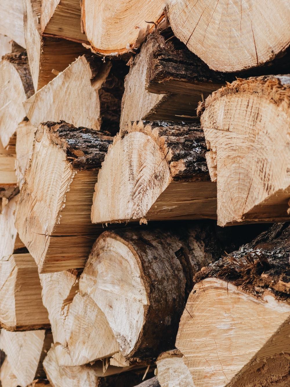 1000x1333 Pine Wood Picture. Download Free Image