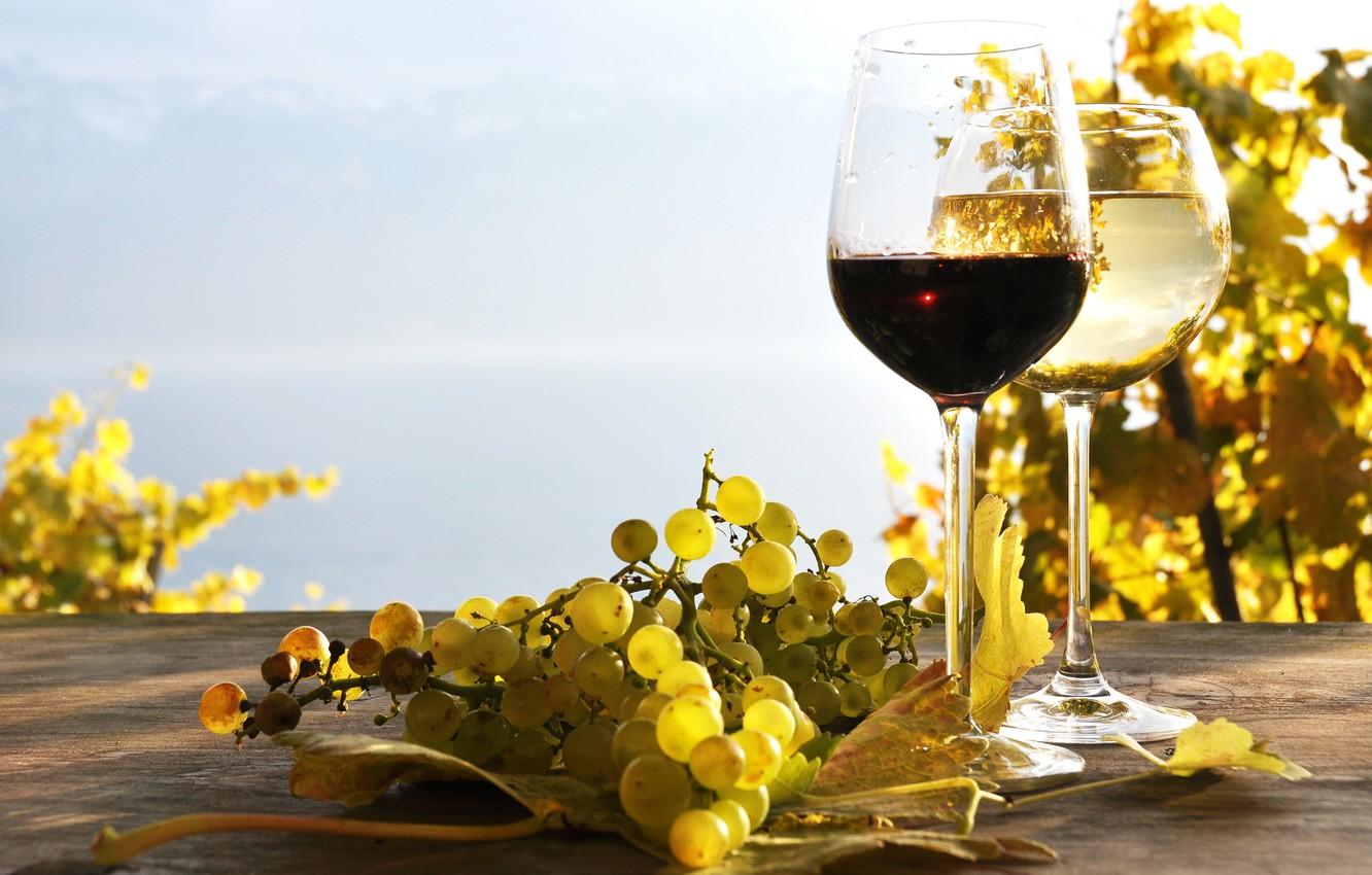 1332x850 Wallpaper leaves, table, wine, red, white, grapes, the vineyards image for desktop, section еда