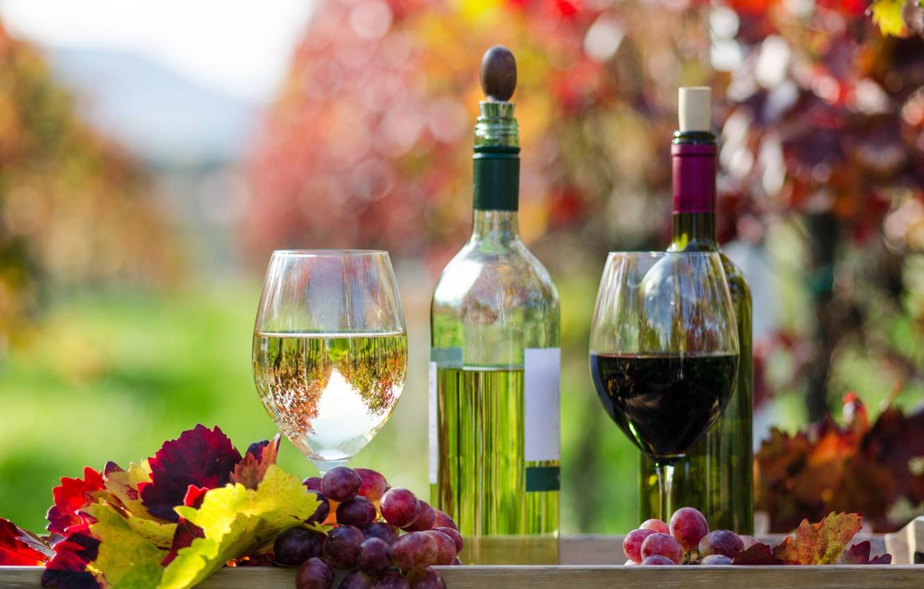 1332x850 Wallpaper autumn, leaves, wine, red, white, glasses, grapes, bottle image for desktop, section еда