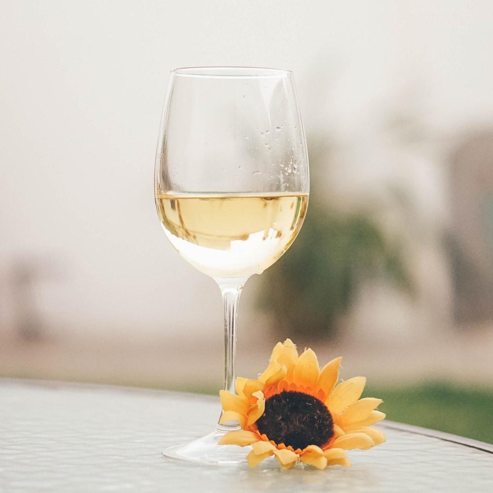 1000x1000 wine glass and sunflower photo