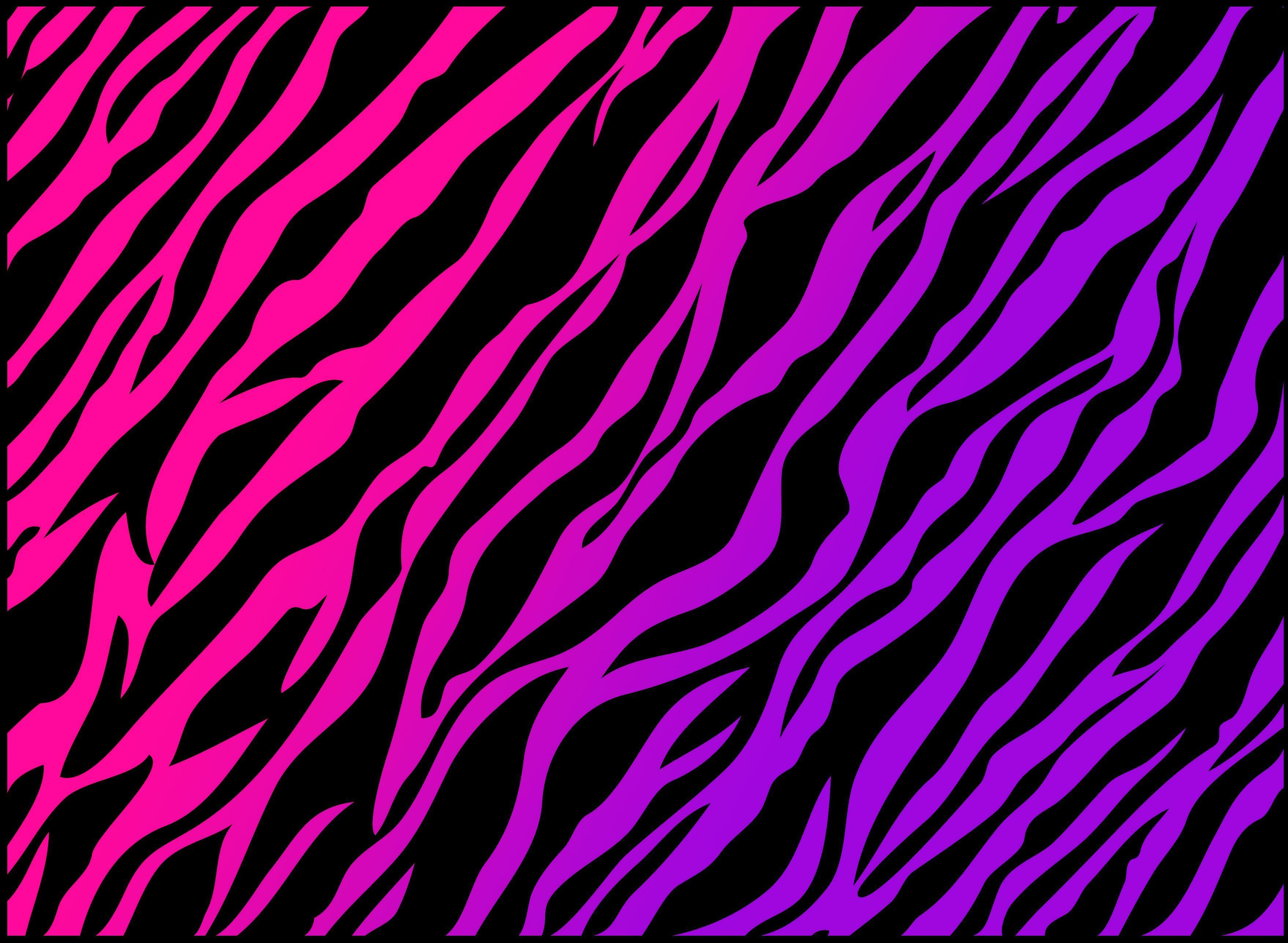 3516x2574 Zebra Print Wallpaper