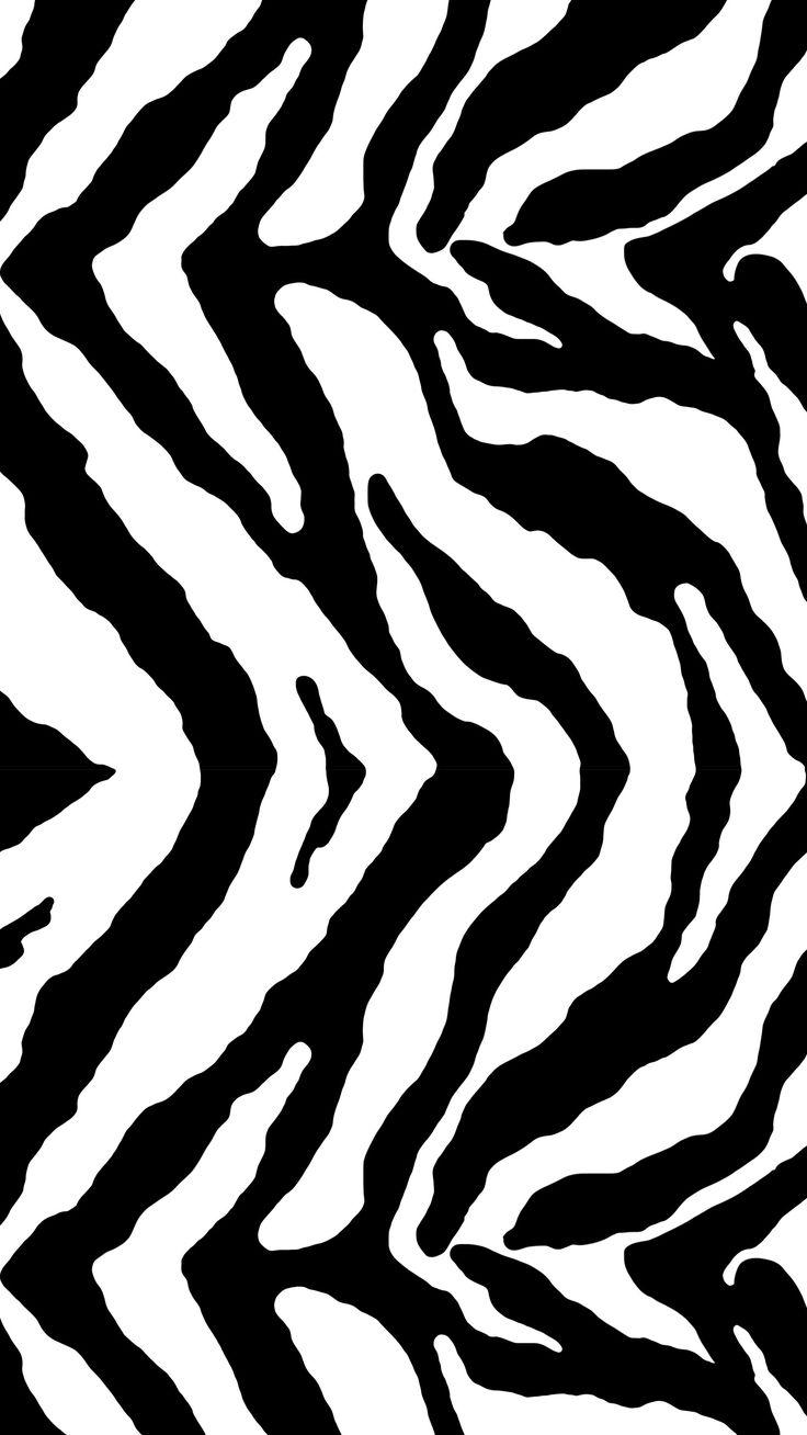 Cool Zebra Wallpapers - Top Free Cool Zebra Backgrounds - WallpaperAccess