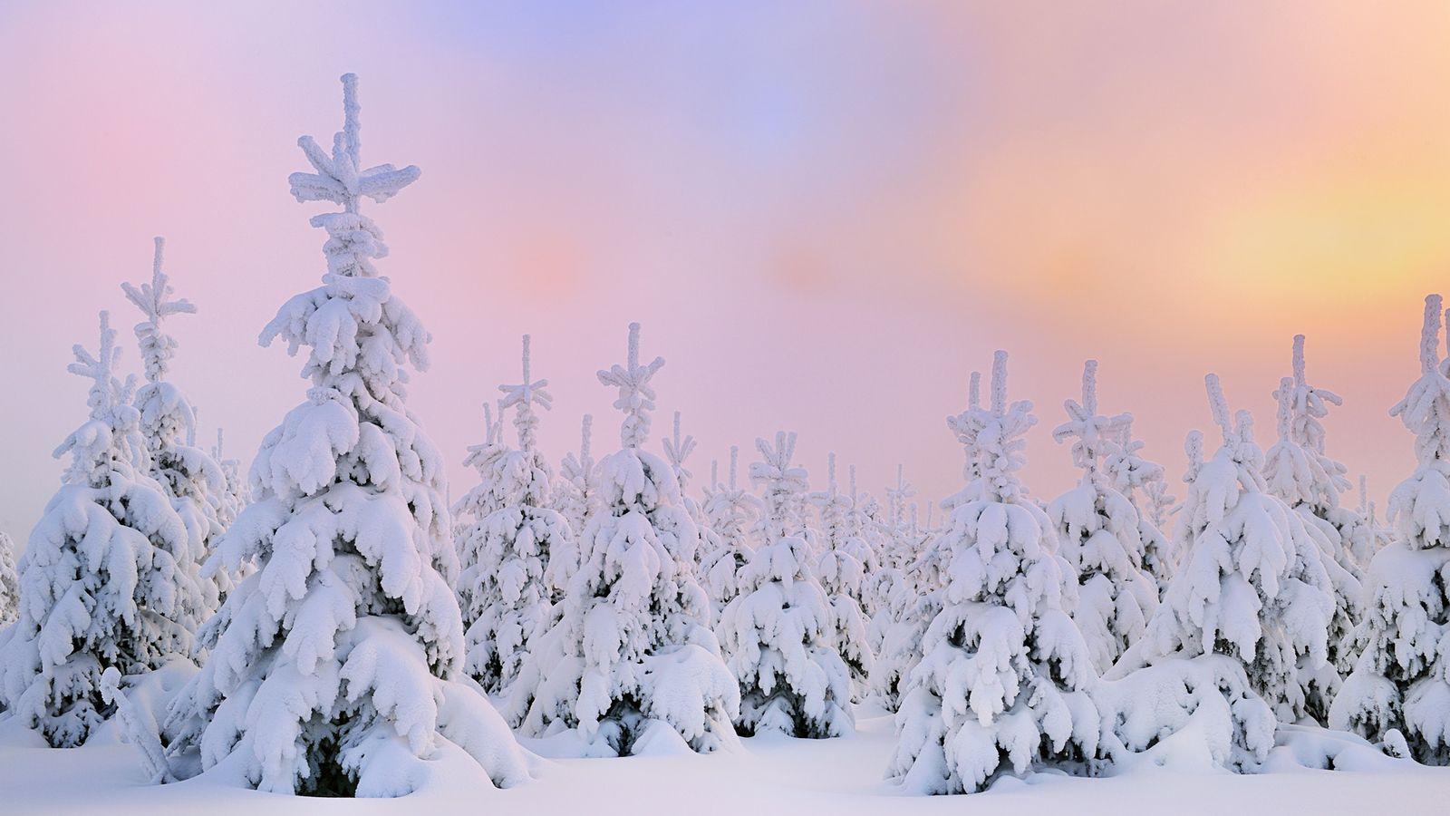 80 winter wallpapers and backgrounds to decorate your screen with