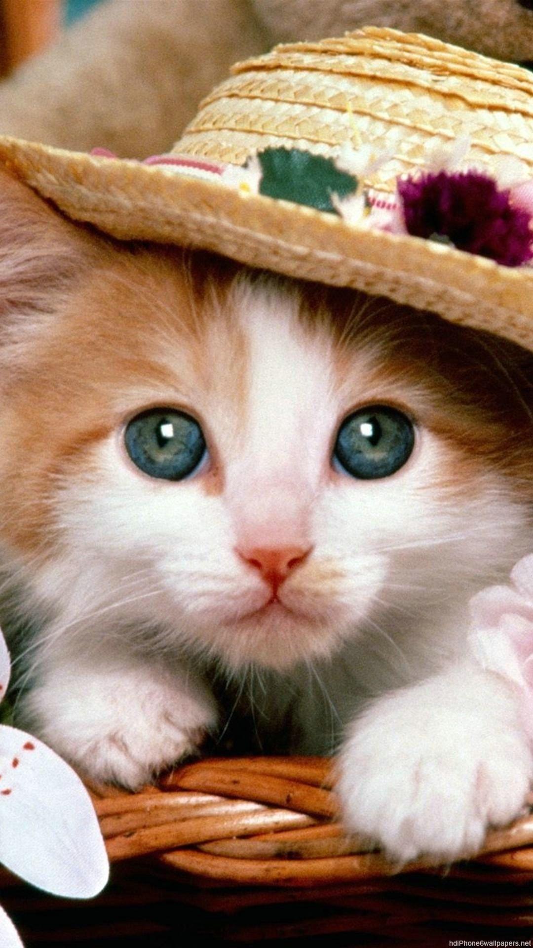 1080x1920 Unique Cute Animal Wallpaper for iPhone Design Wallpaper HD