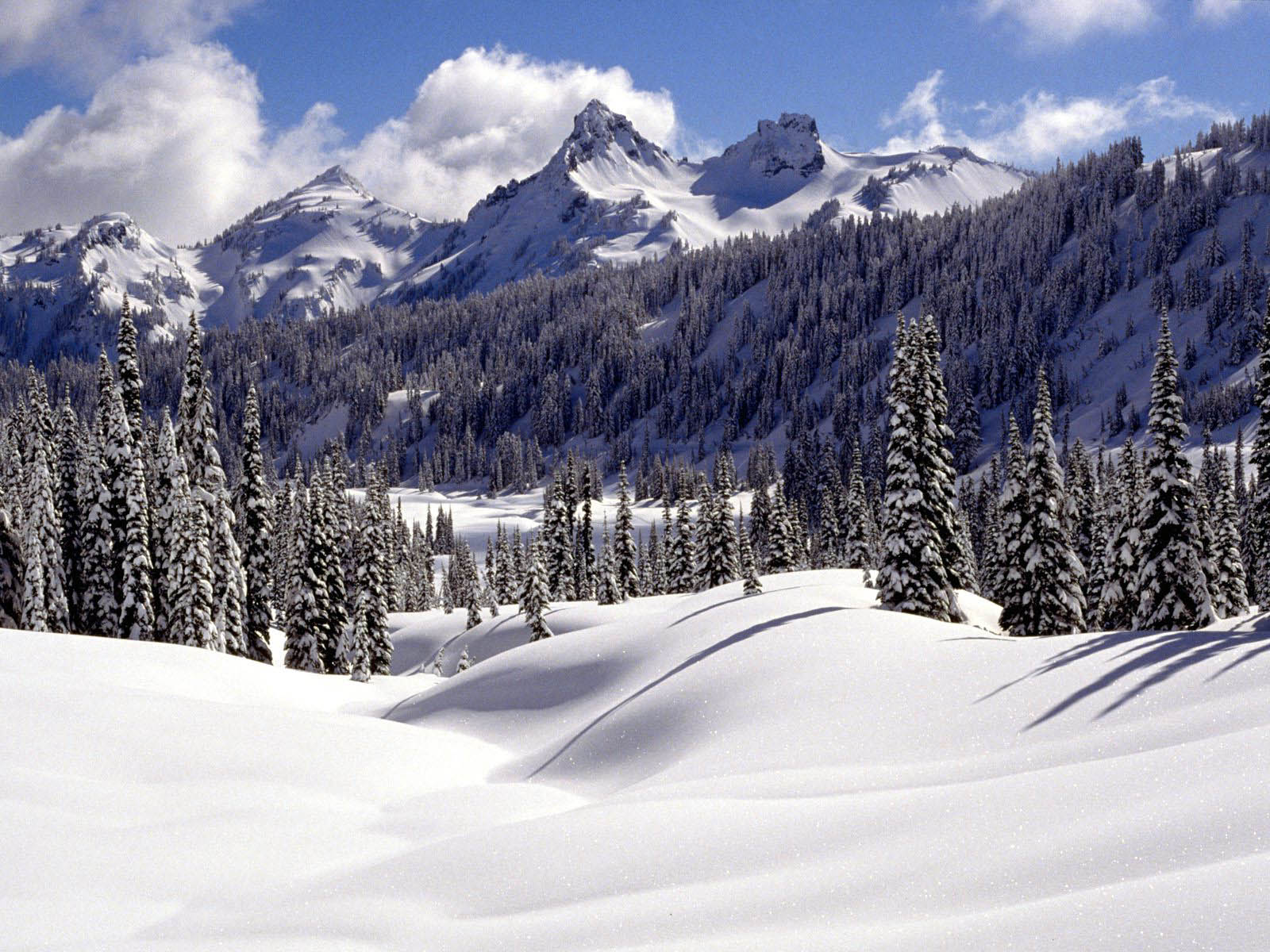 1600x1200 Gallery Mangklex: Snow Desktop Wallpaper and Background 2013